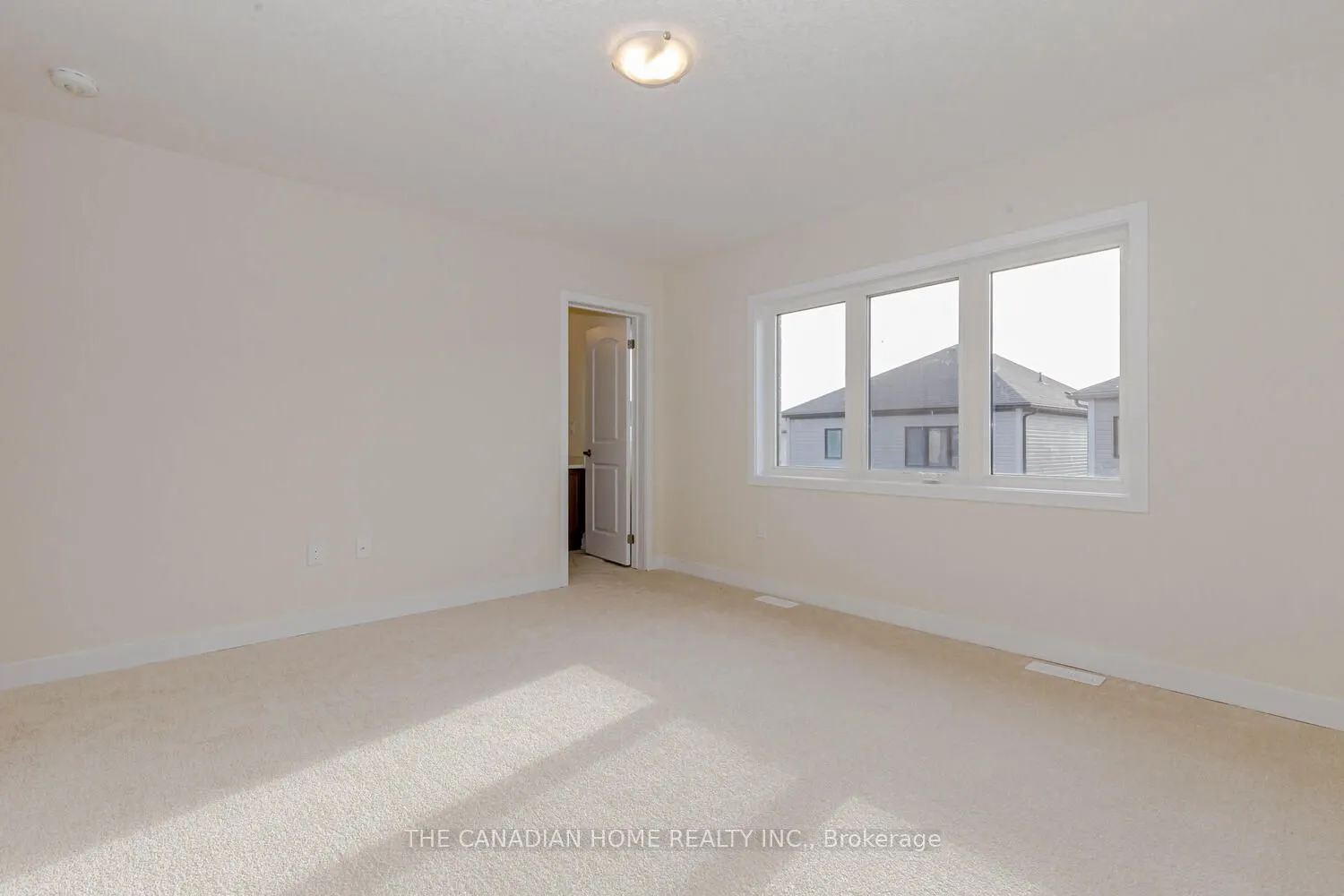 10 SUNFLOWER Crescent