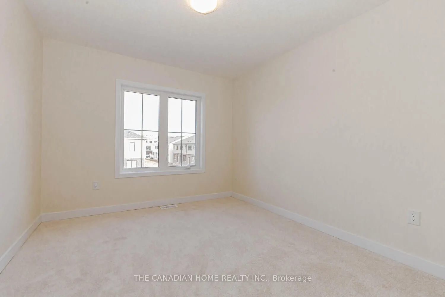 10 SUNFLOWER Crescent