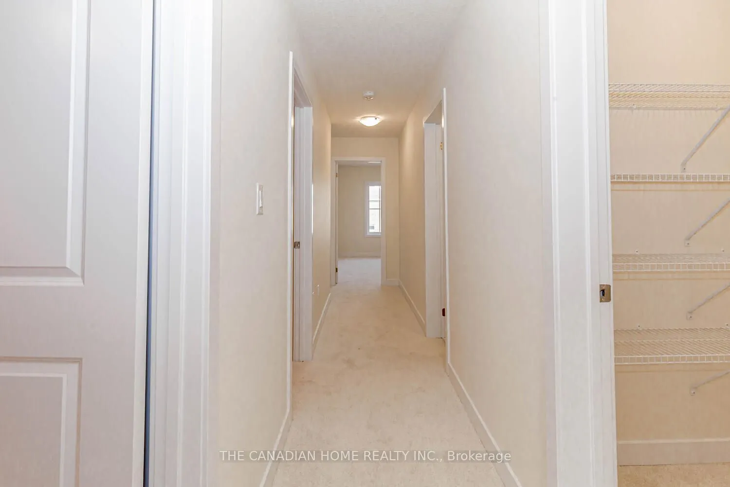 10 SUNFLOWER Crescent