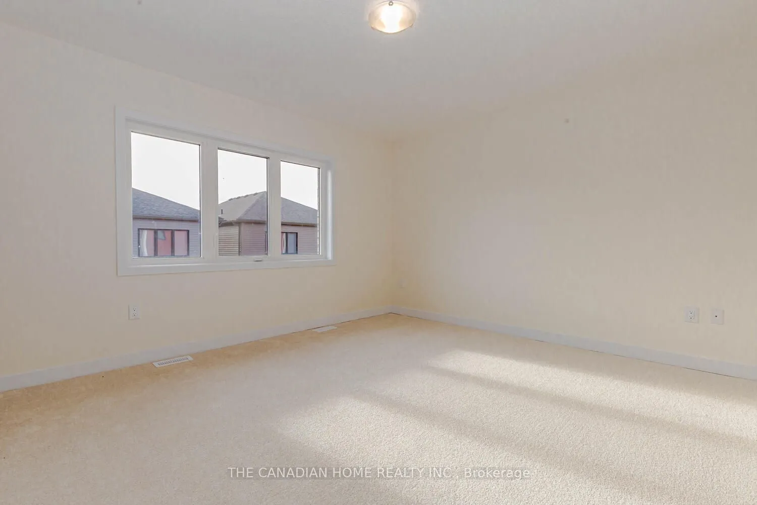 10 SUNFLOWER Crescent