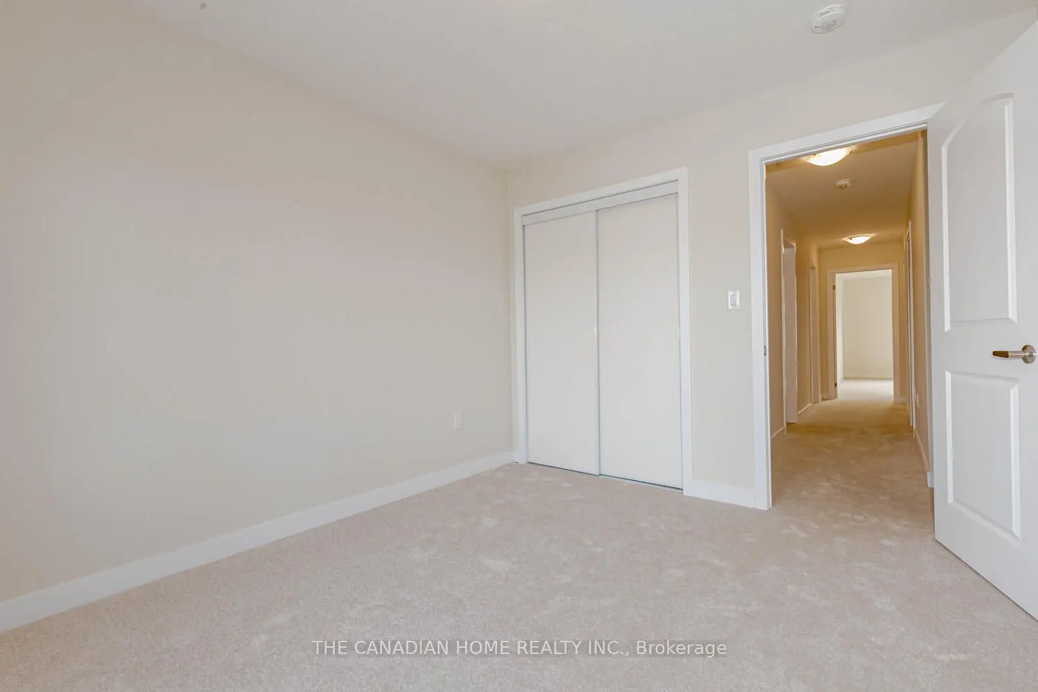 10 SUNFLOWER Crescent