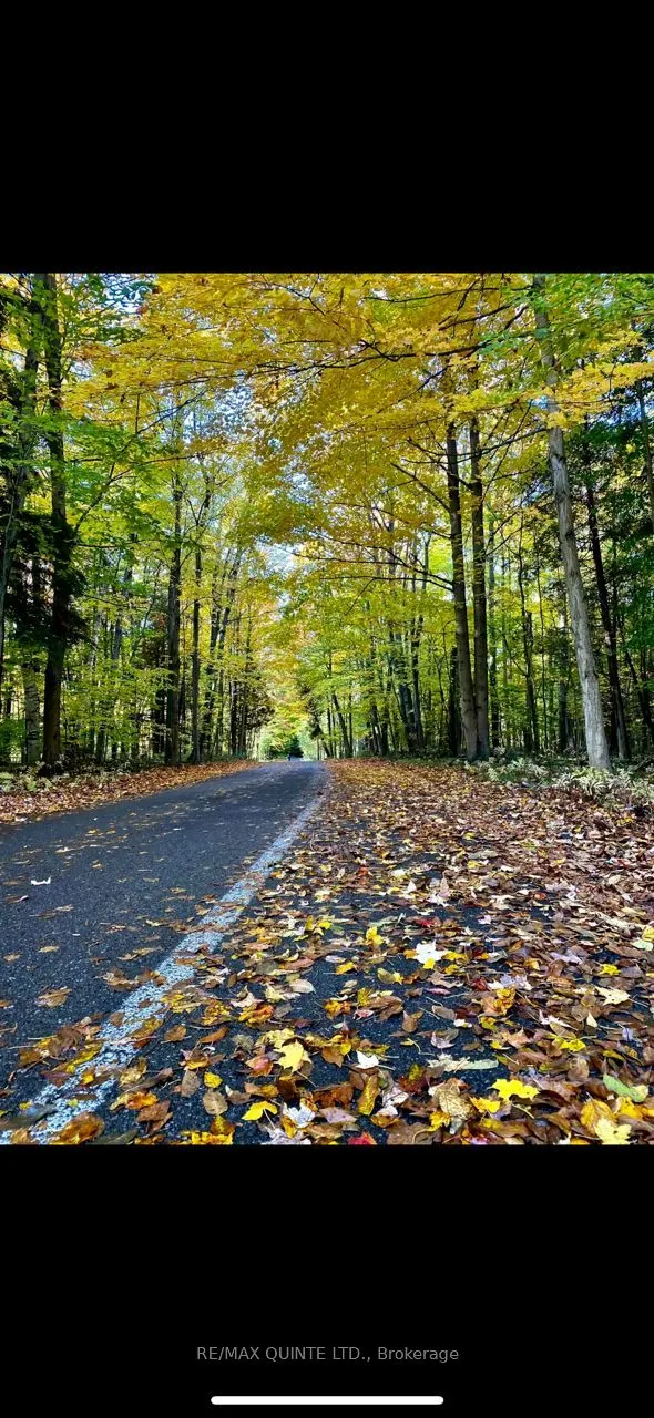 0000 Bayshore Road