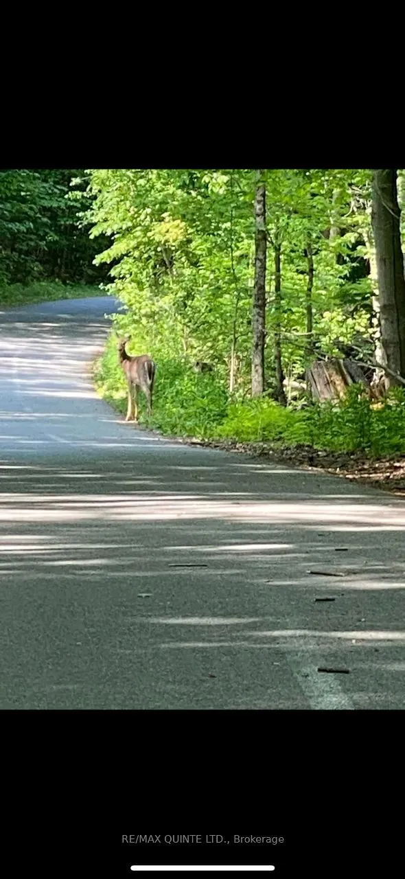 0000 Bayshore Road