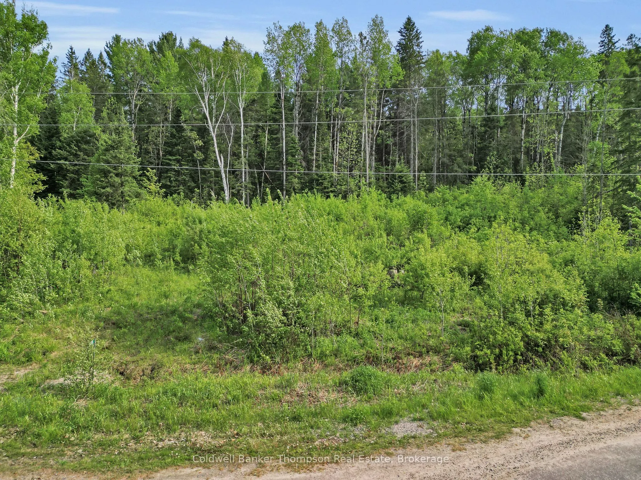 219 Doe Lake Road