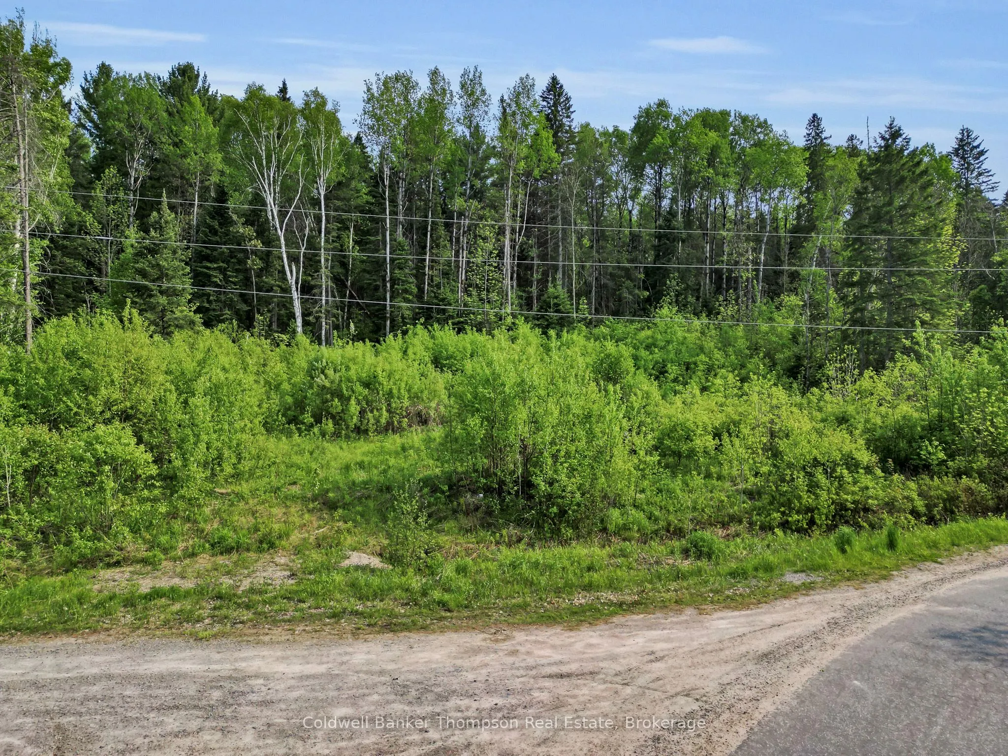 219 Doe Lake Road