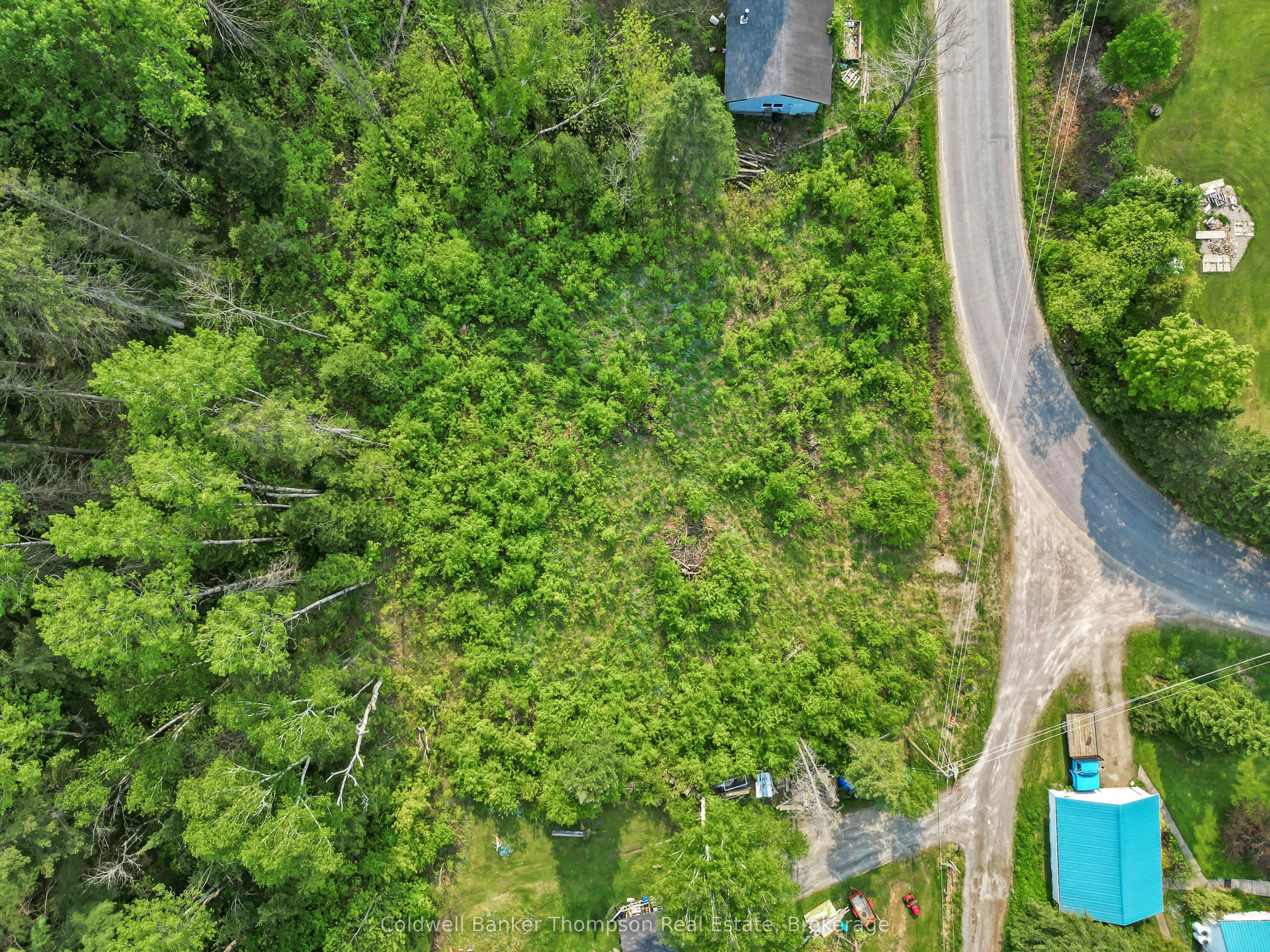 219 Doe Lake Road