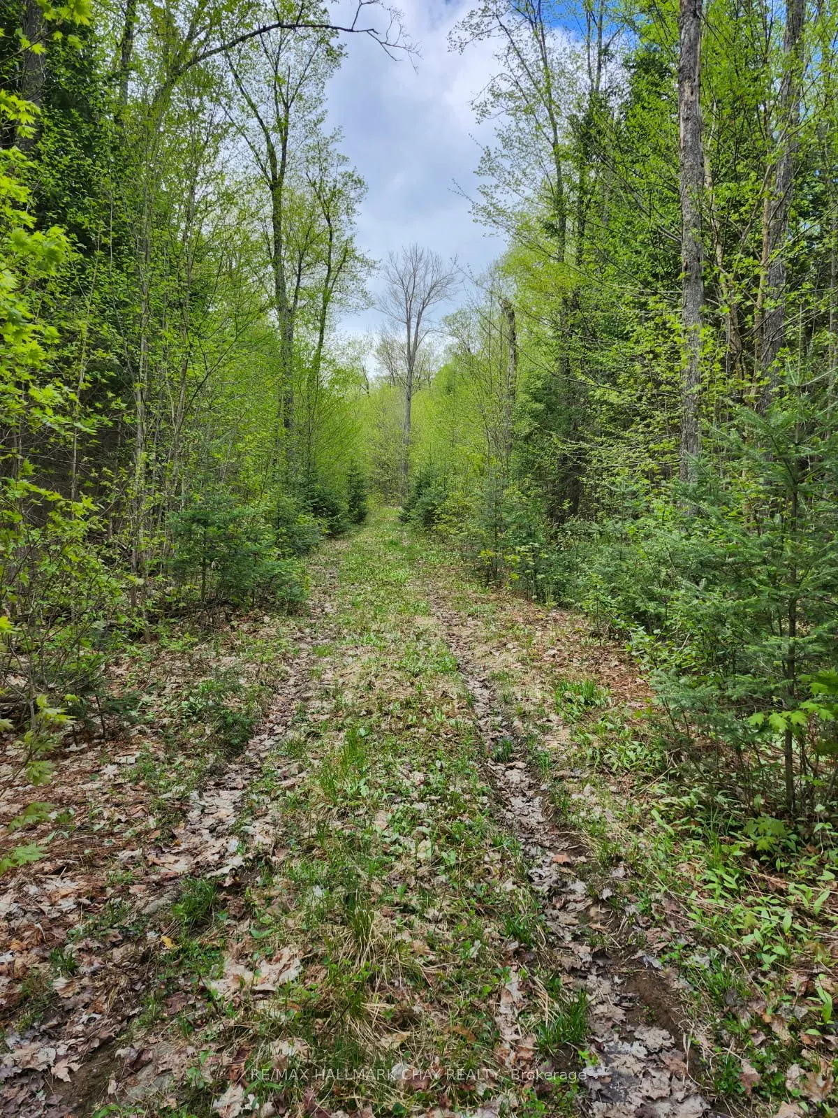 PT LOTS 24 & 25 CON 5 Concession