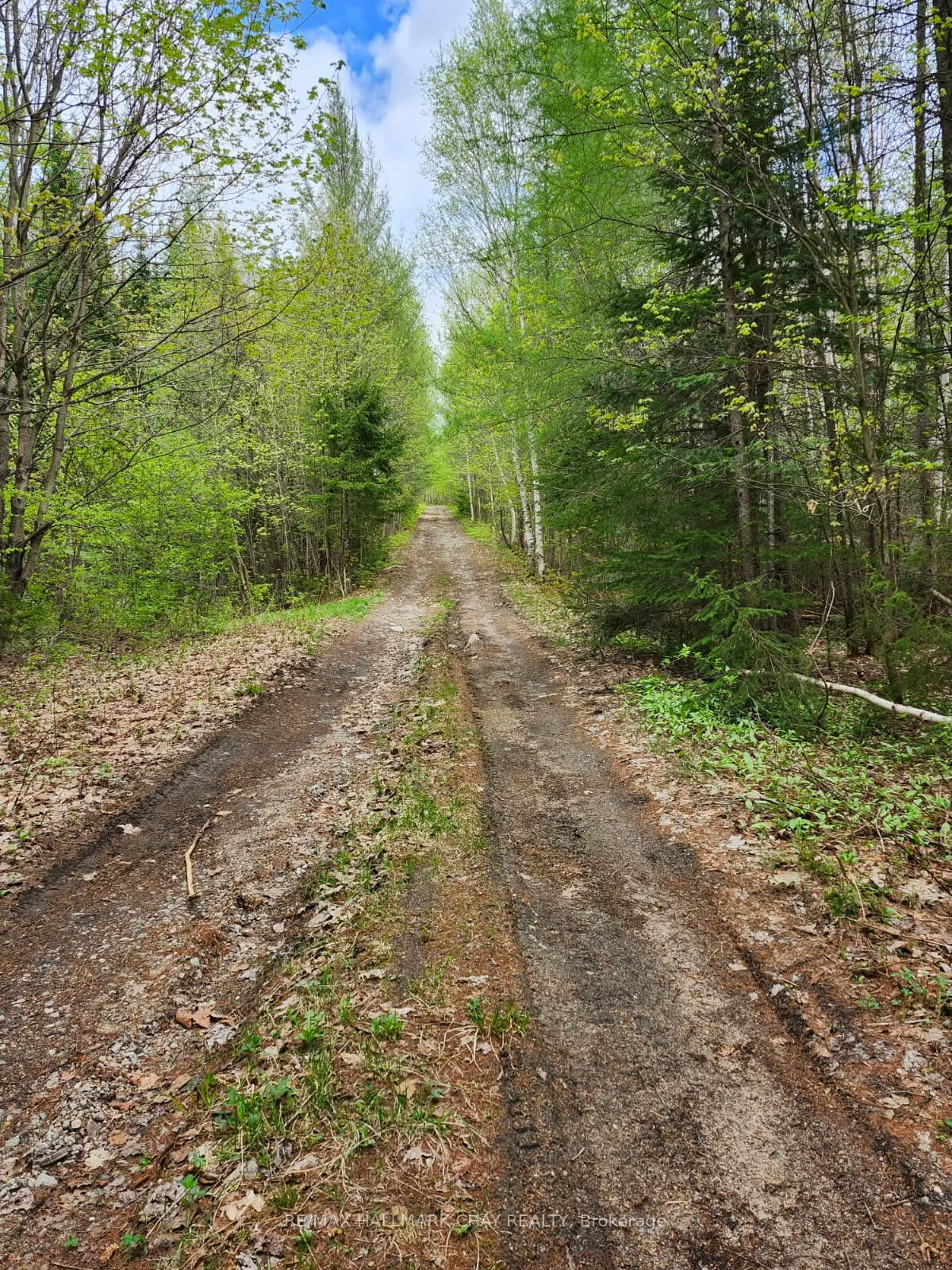 PT LOTS 24 & 25 CON 5 Concession