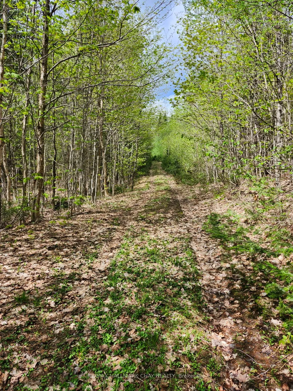 PT LOTS 24 & 25 CON 5 Concession