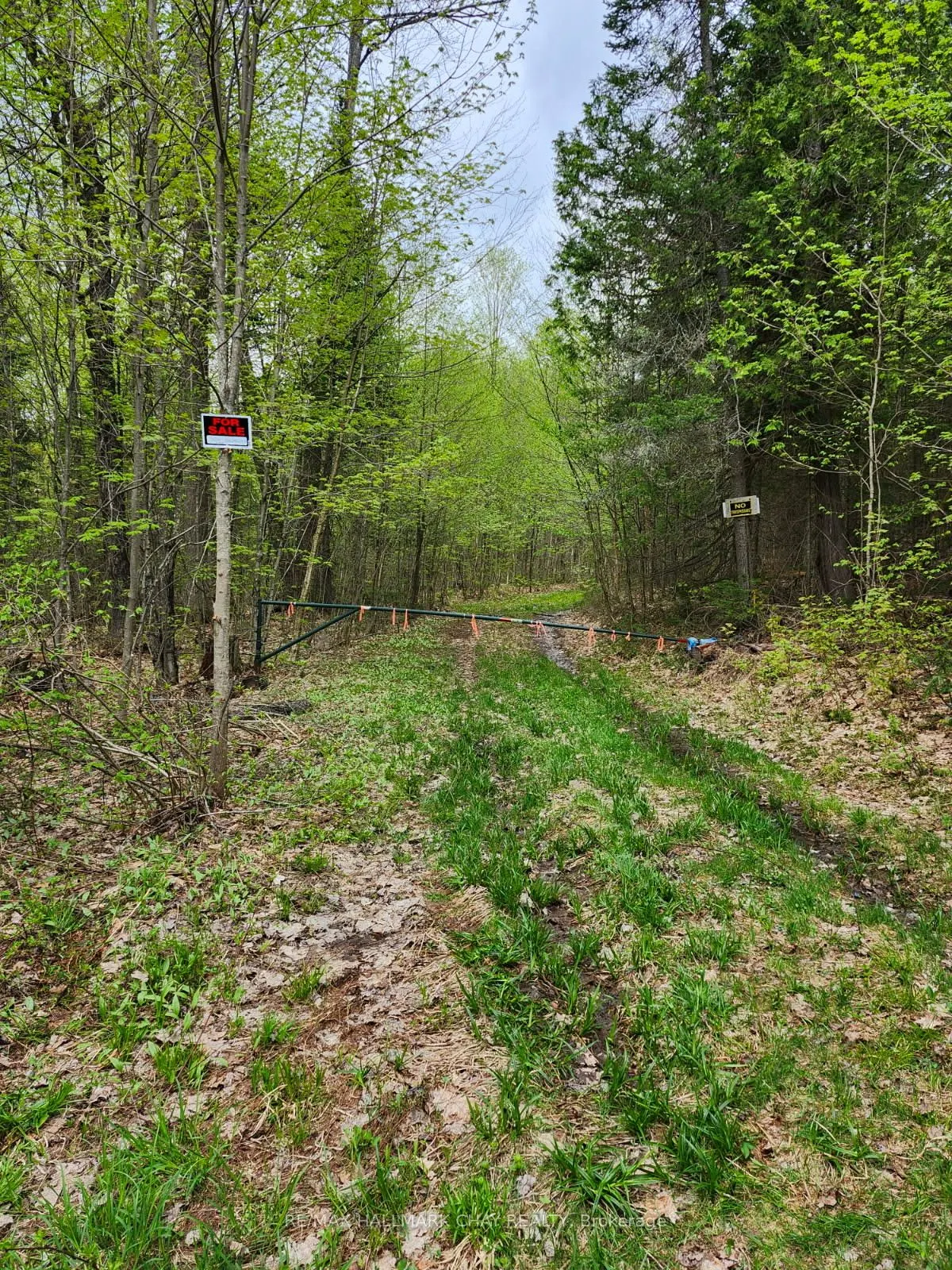 PT LOTS 24 & 25 CON 5 Concession