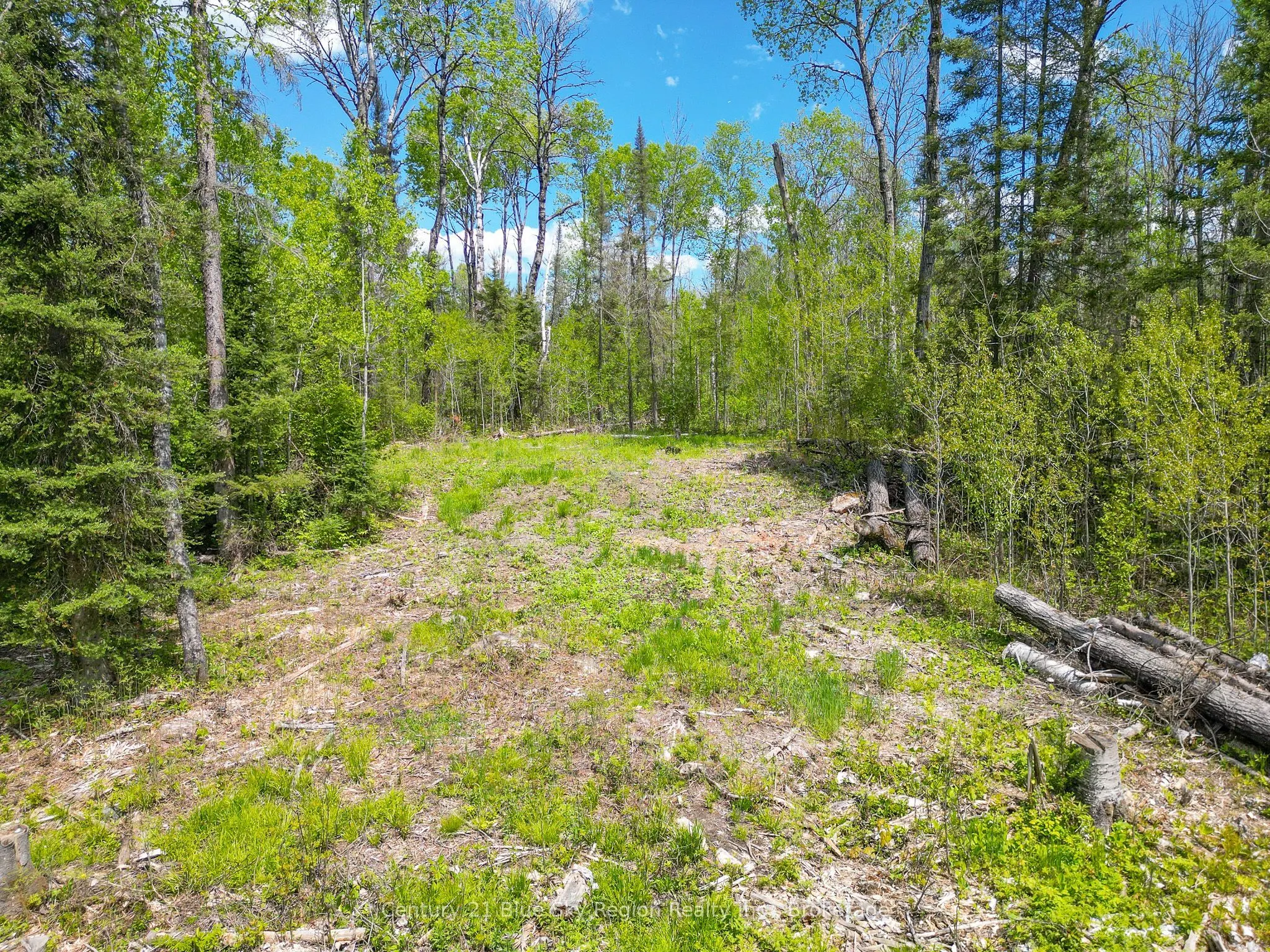13 One Mile Road