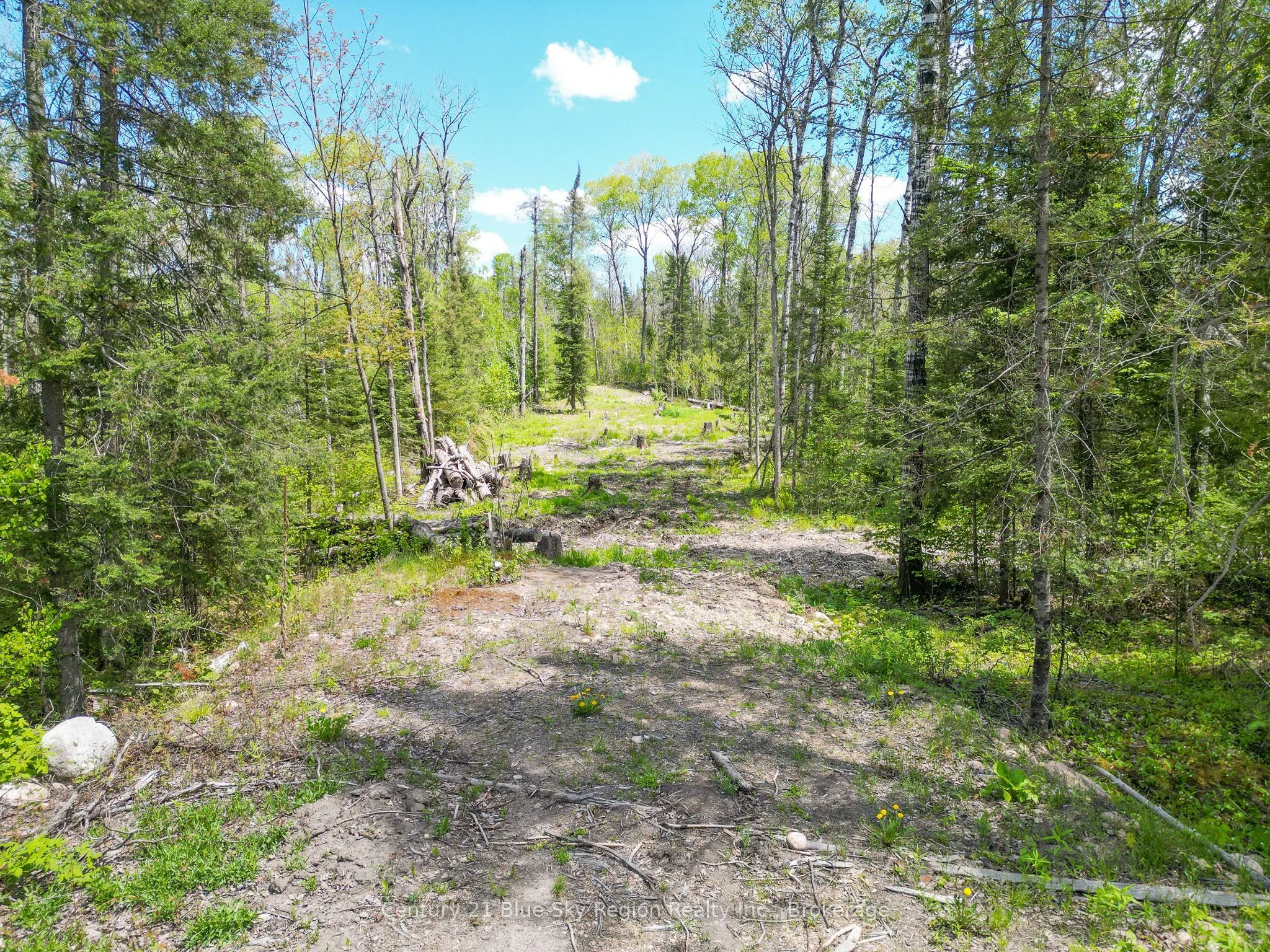 13 One Mile Road