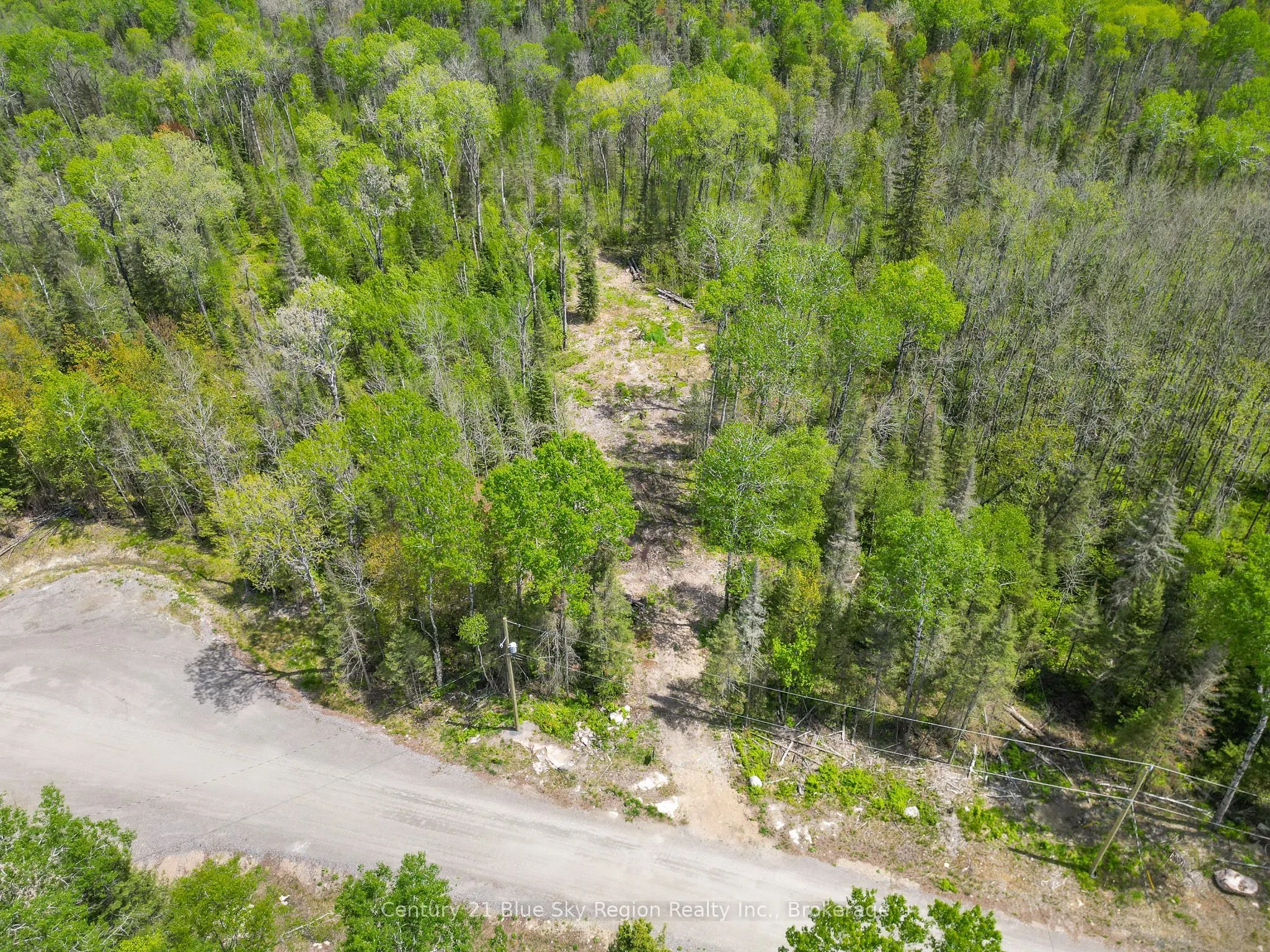 13 One Mile Road