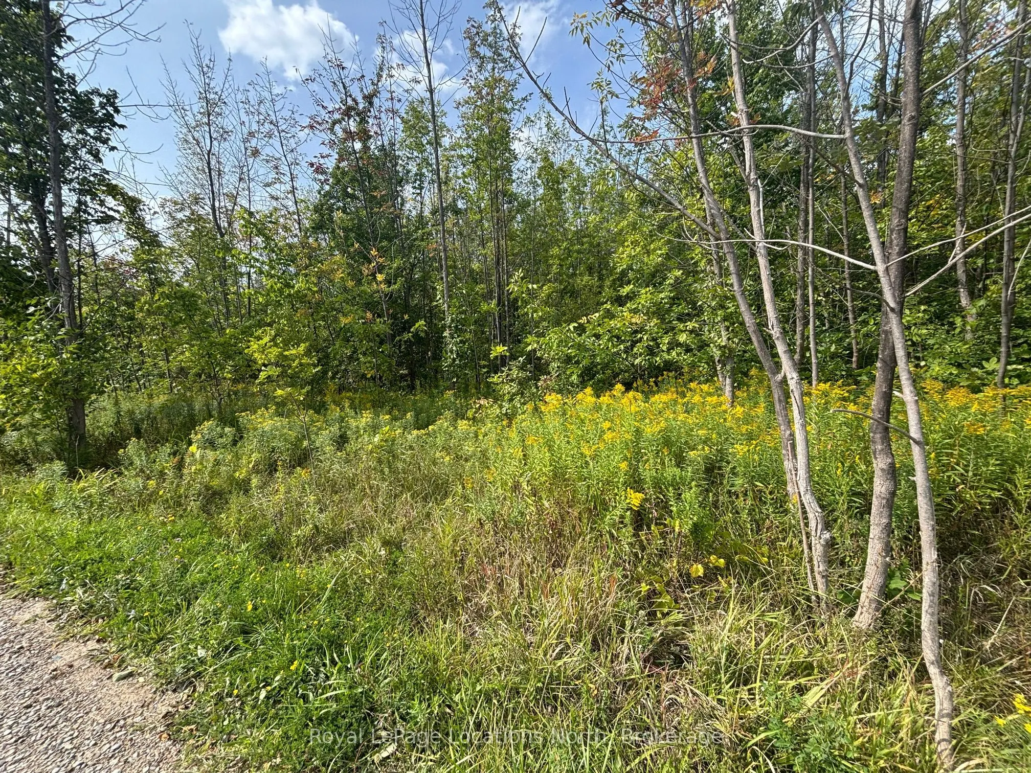 0 Cedar Avenue