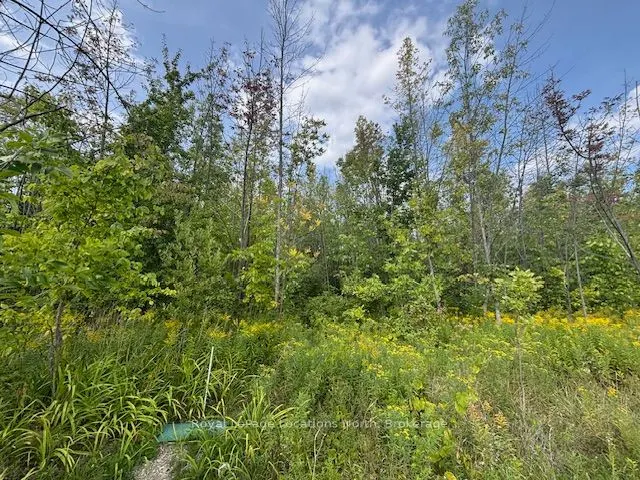0 Cedar Avenue