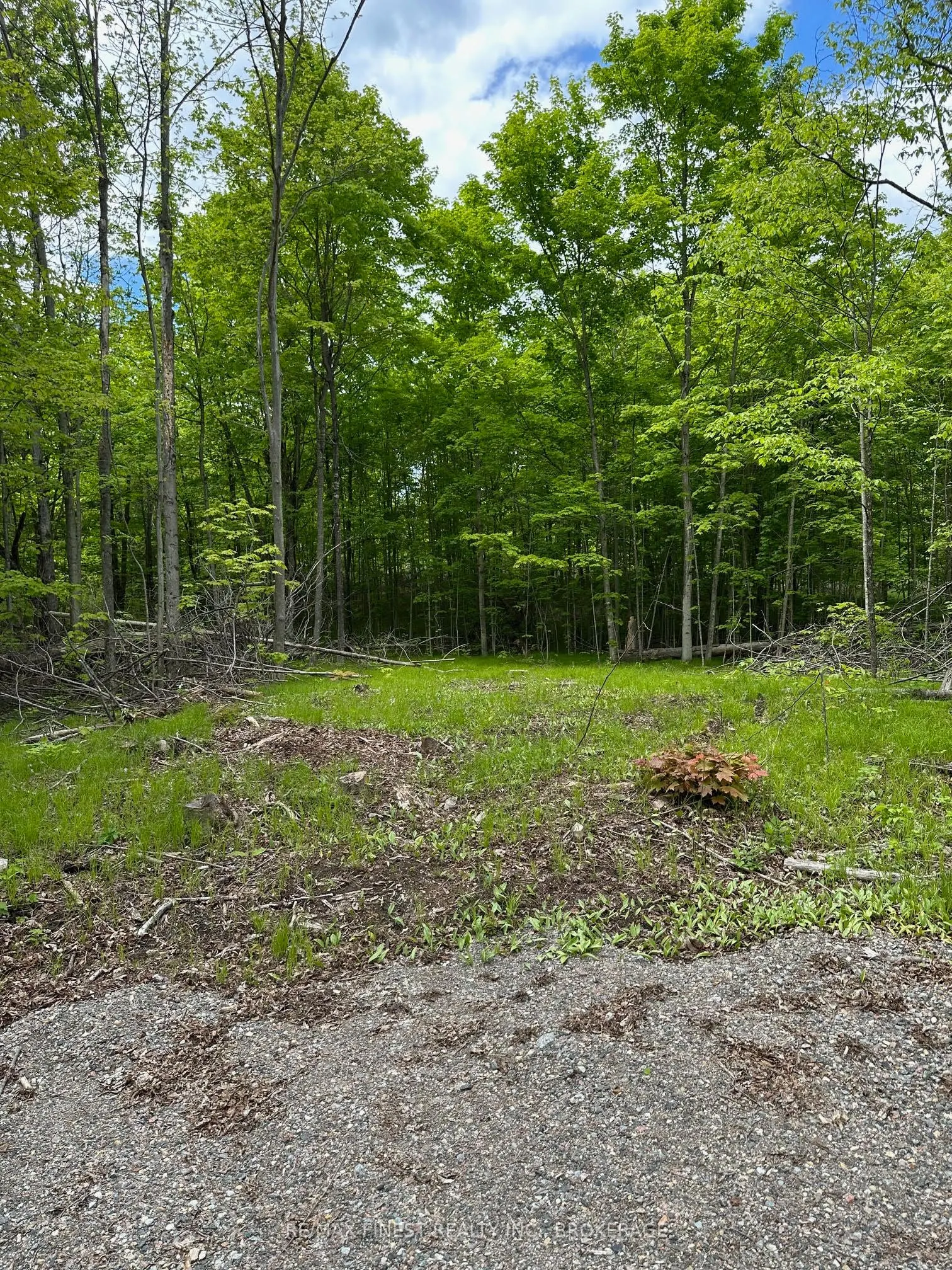 17158 Road 509