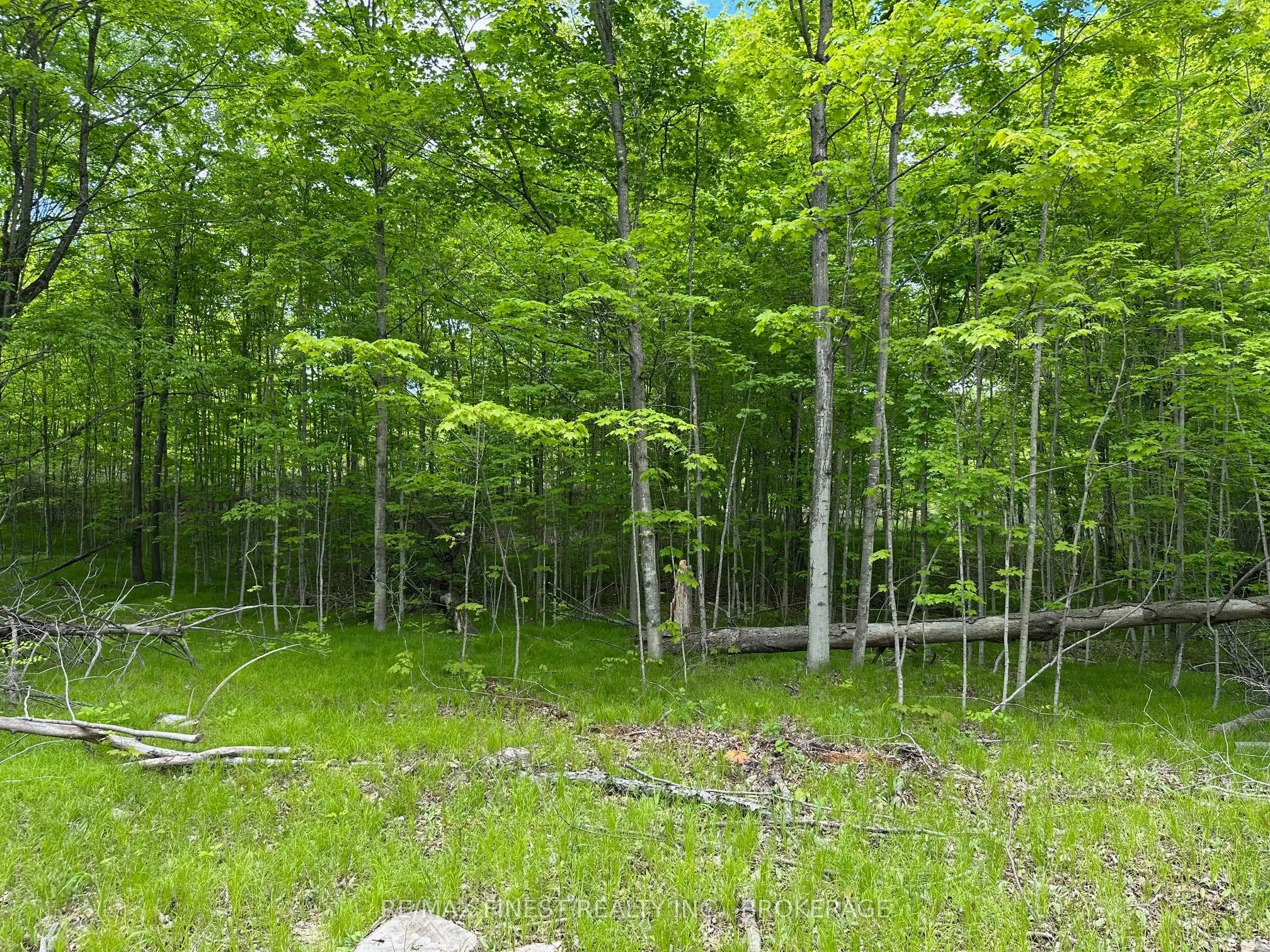 17158 Road 509