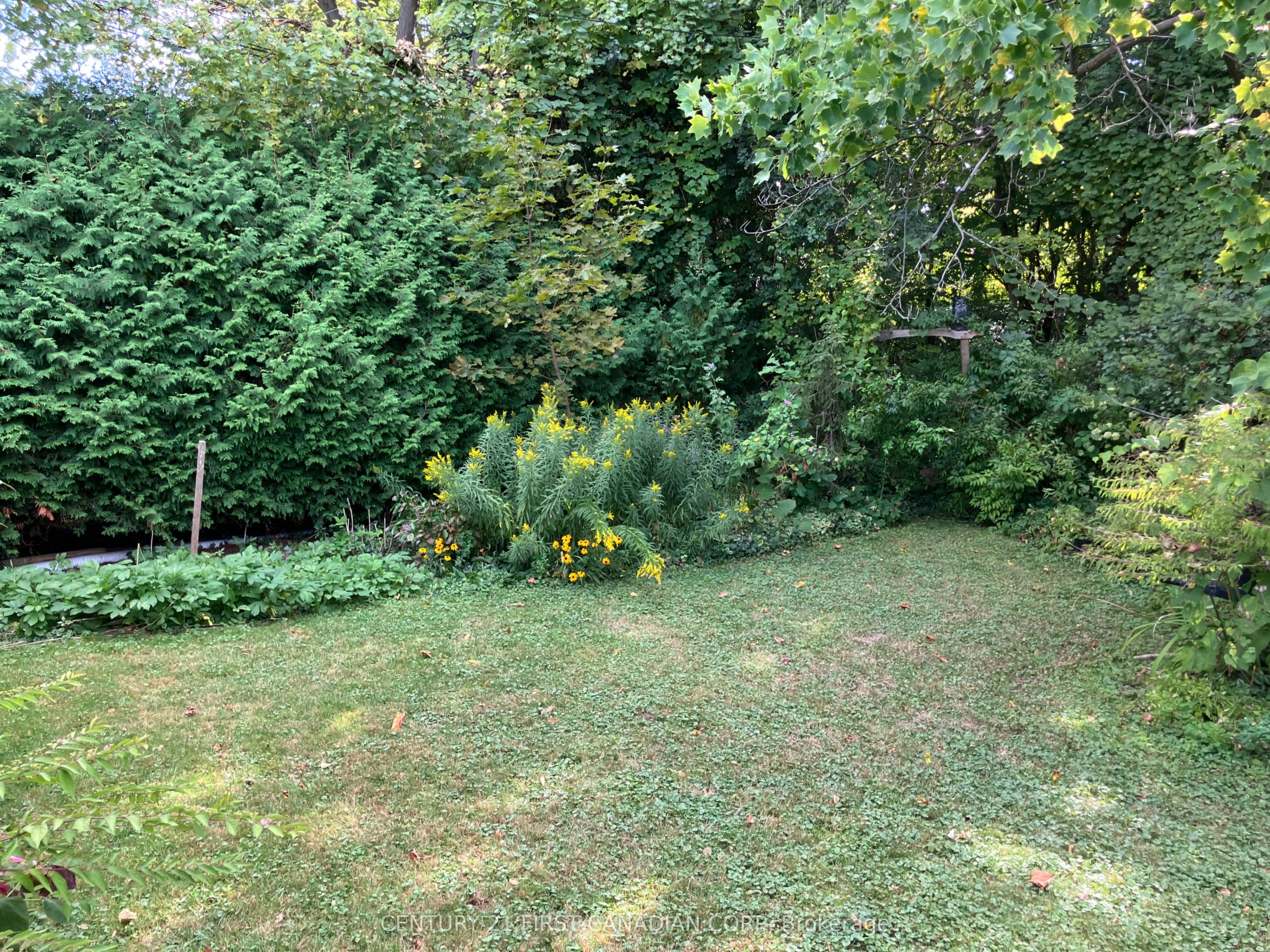 465 Ridgewood Crescent