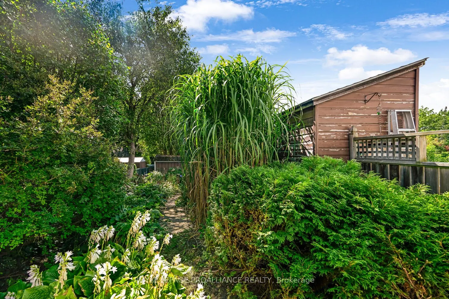 14 Davison Avenue