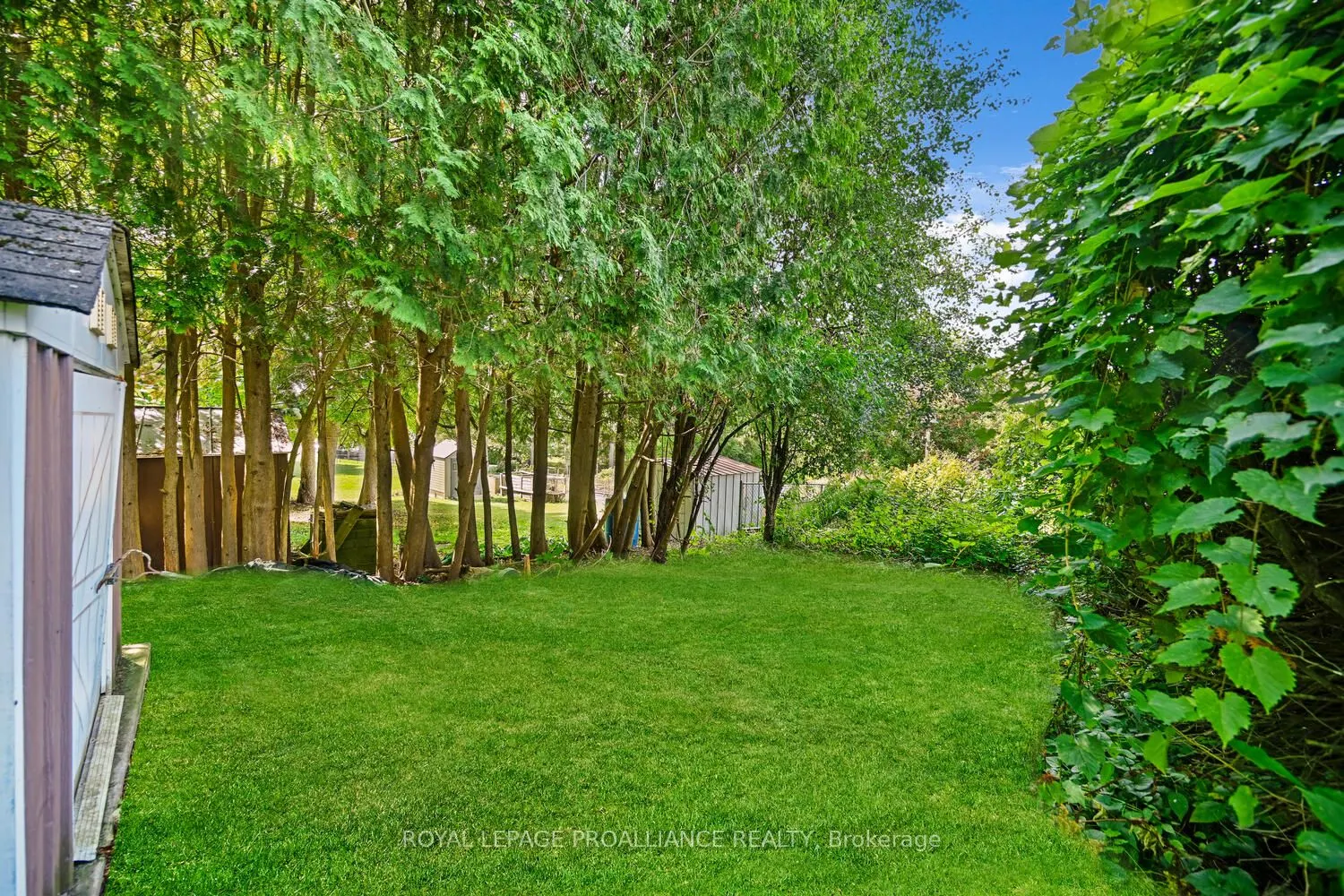 14 Davison Avenue
