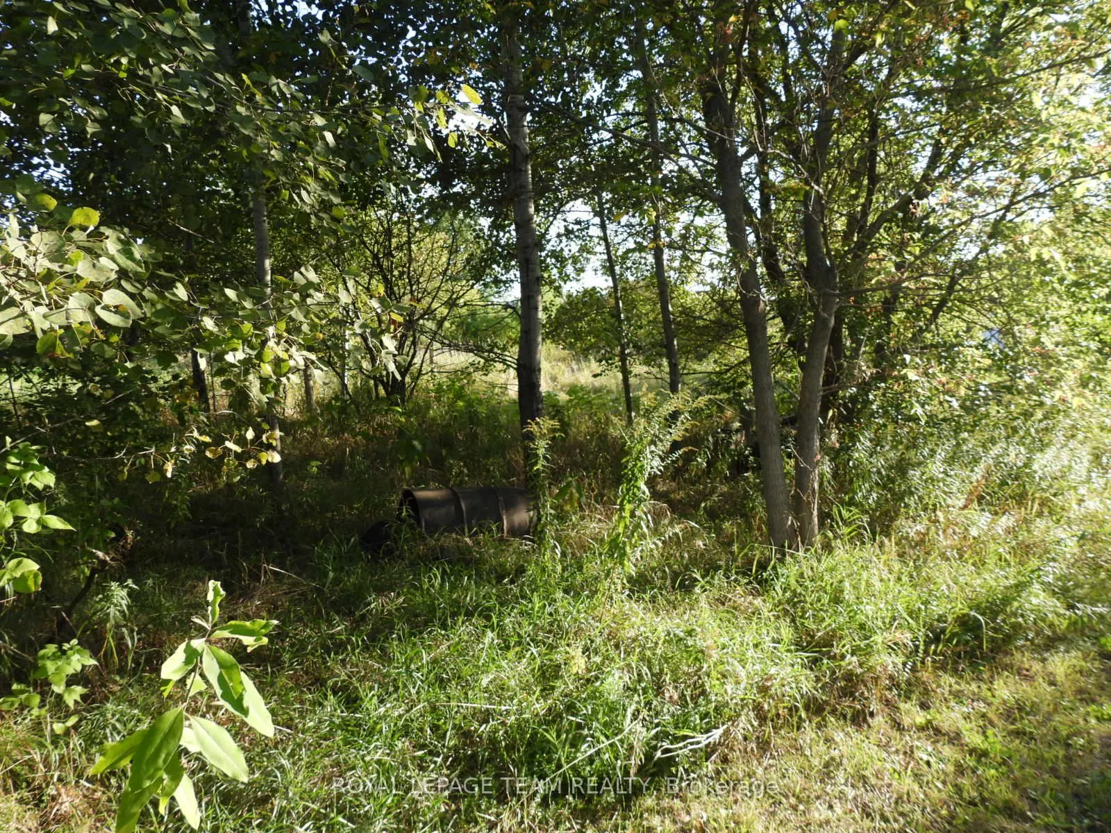 2710 Dunrobin Road