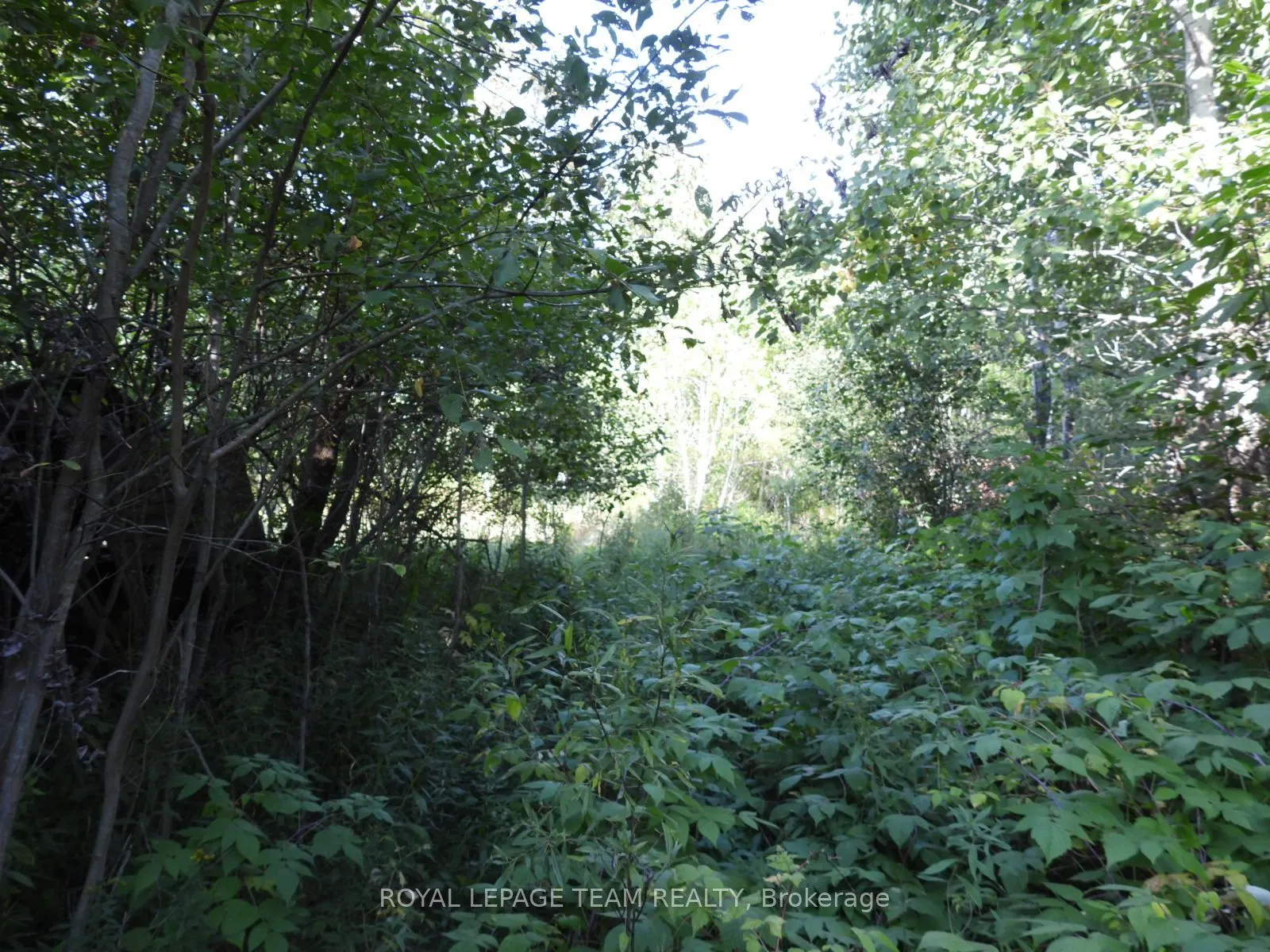 2710 Dunrobin Road