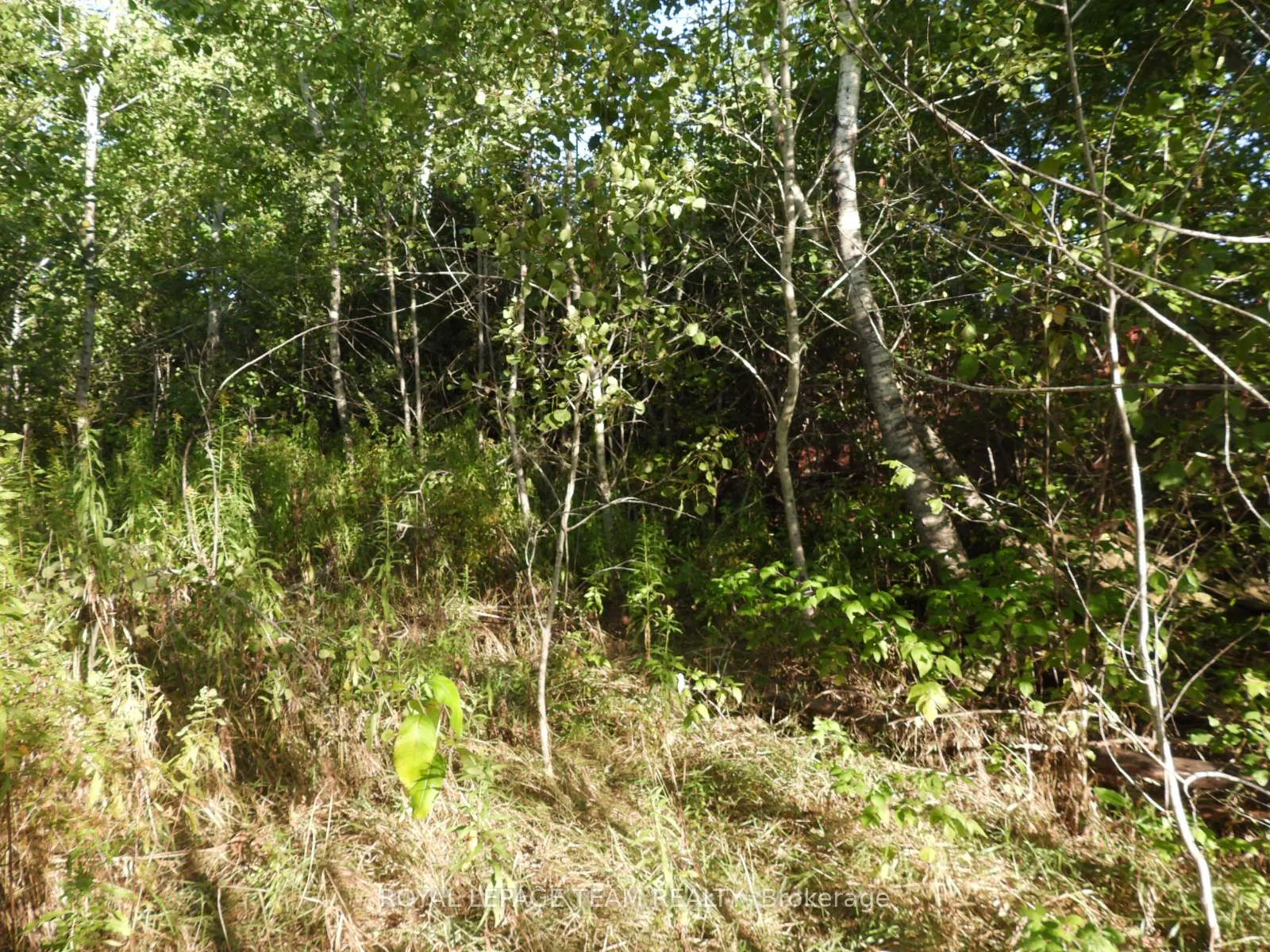 2710 Dunrobin Road
