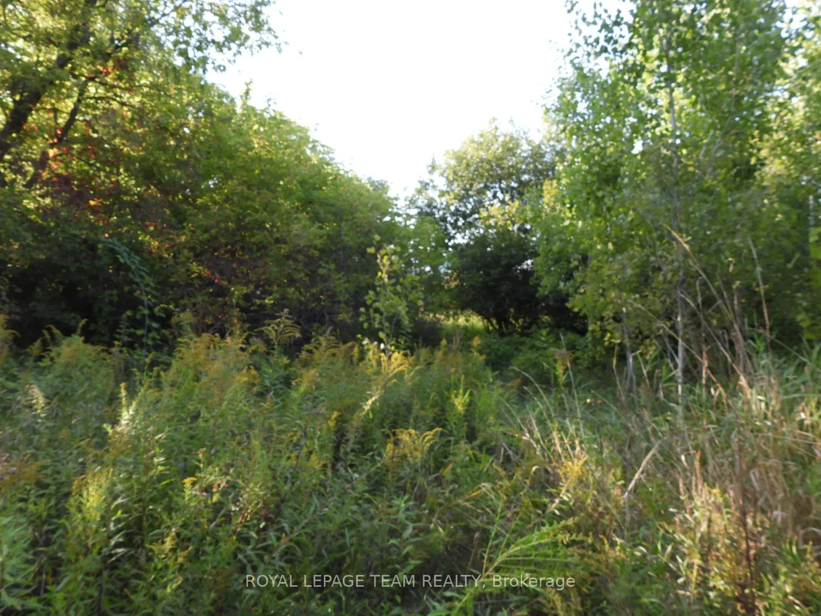 2710 Dunrobin Road