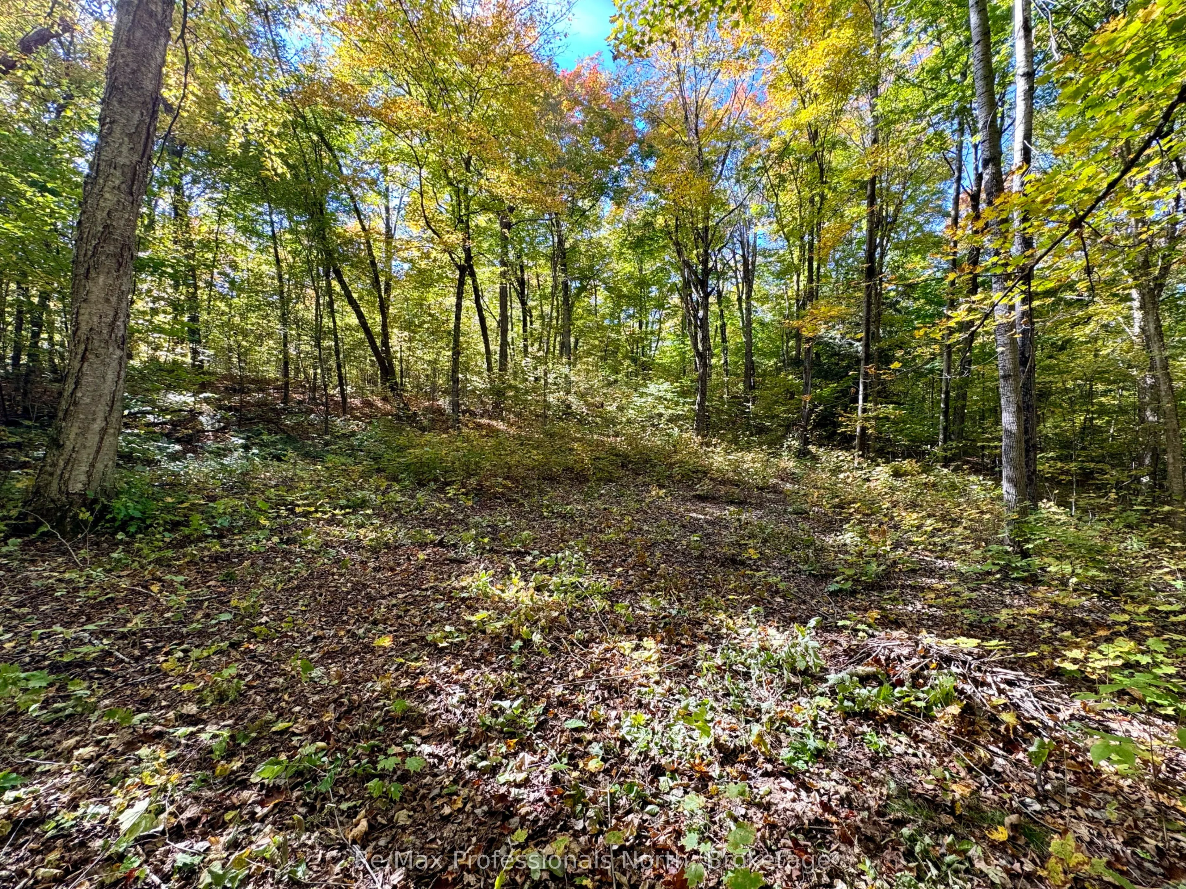 234 LONGS LAKE Road