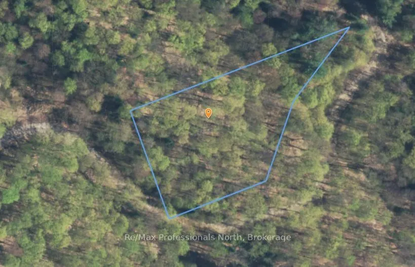 234 LONGS LAKE Road