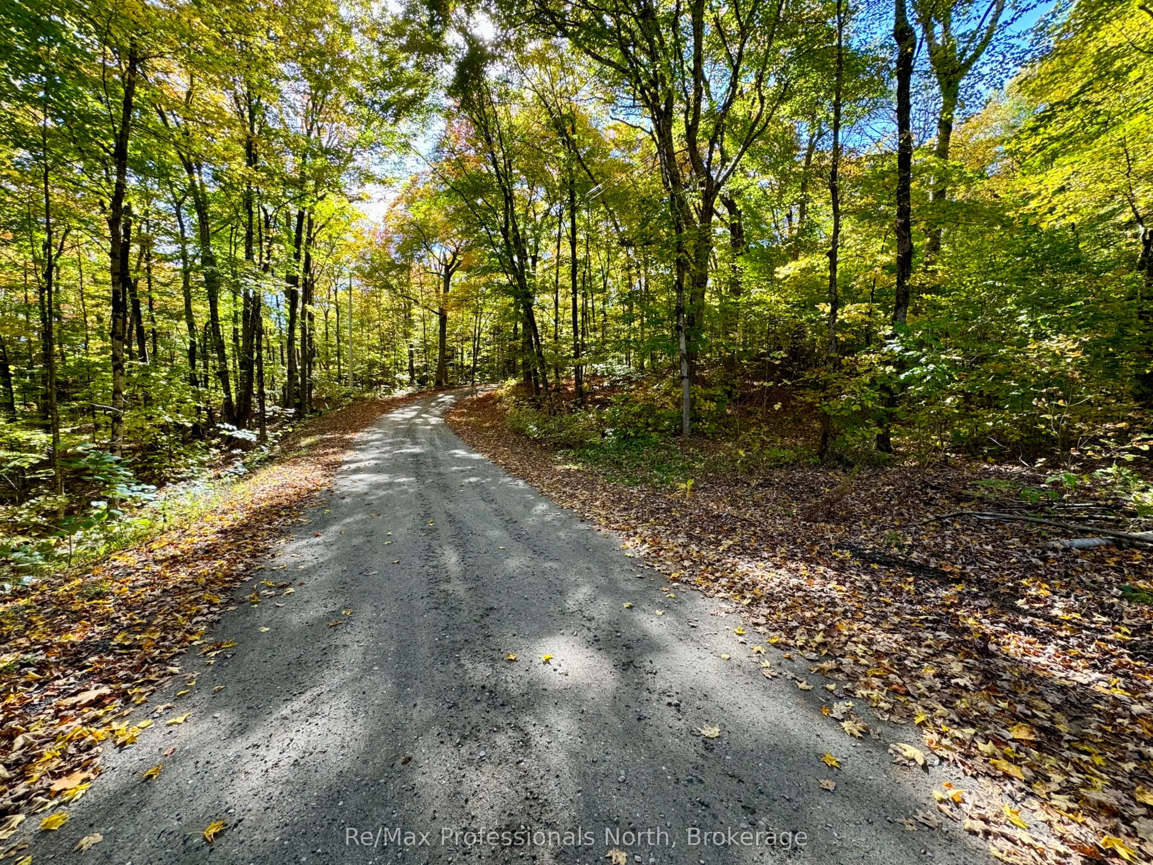 234 LONGS LAKE Road