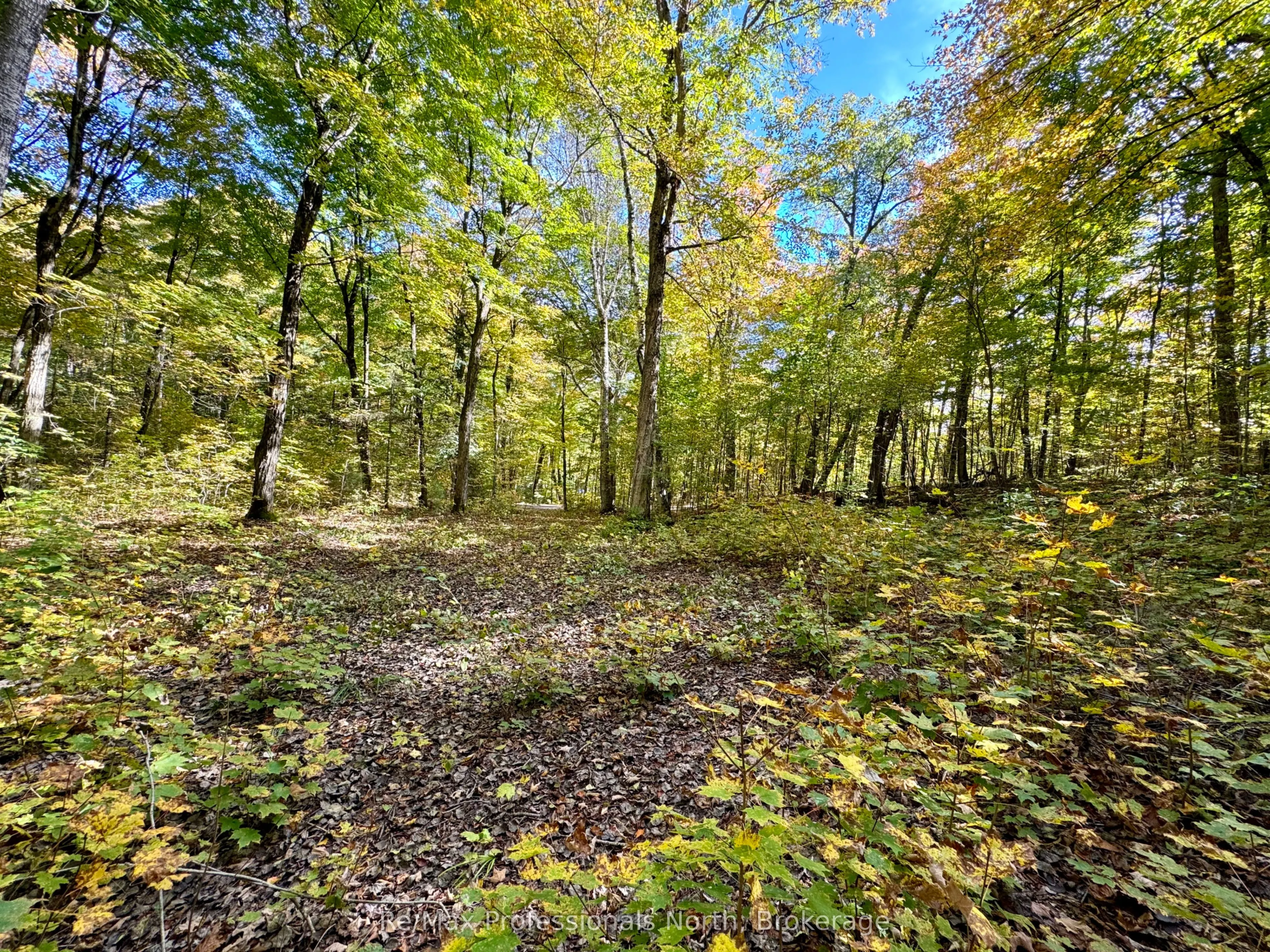 234 LONGS LAKE Road