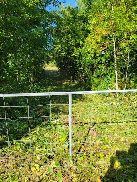 3931 Wallace Point Road