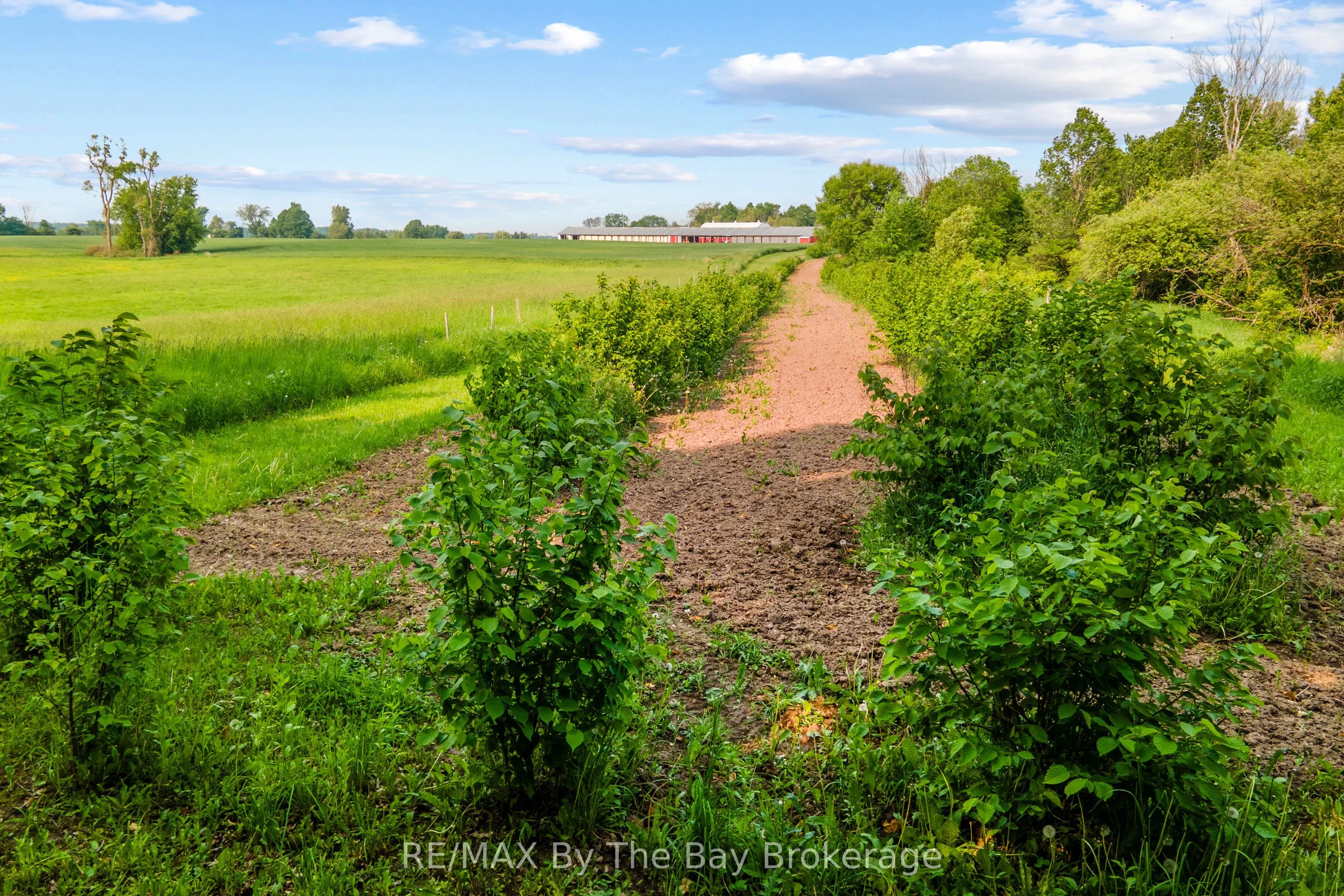 828482 MULMUR NOTTAWASAGA T Line