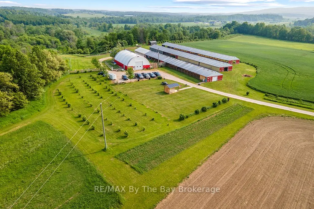 828482 MULMUR NOTTAWASAGA T Line