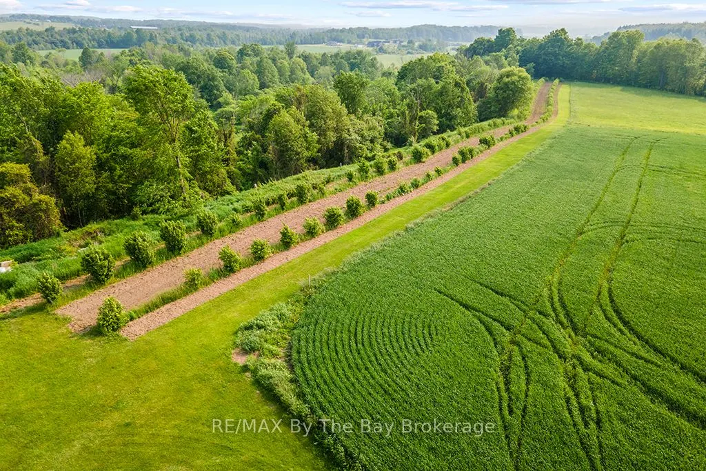 828482 MULMUR NOTTAWASAGA T Line