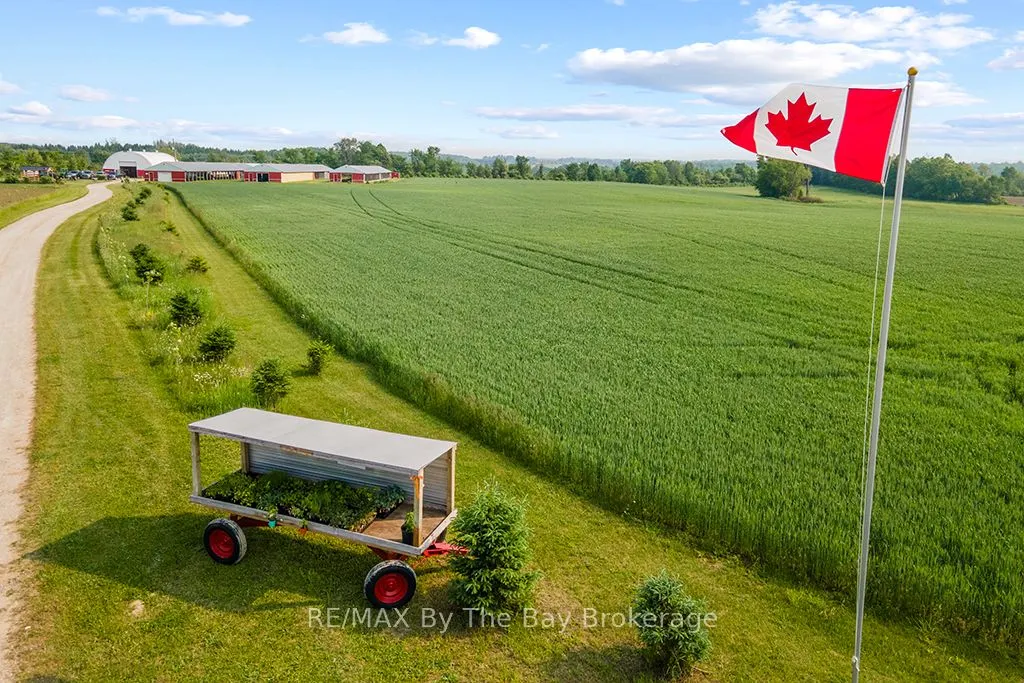 828482 MULMUR NOTTAWASAGA T Line