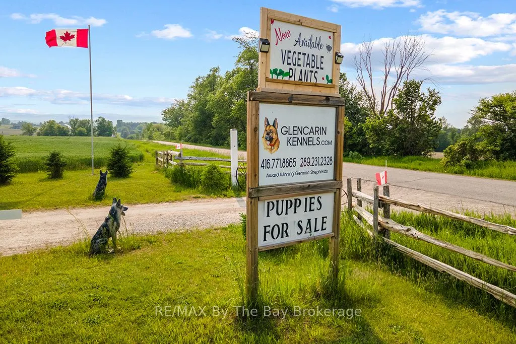 828482 MULMUR NOTTAWASAGA T Line