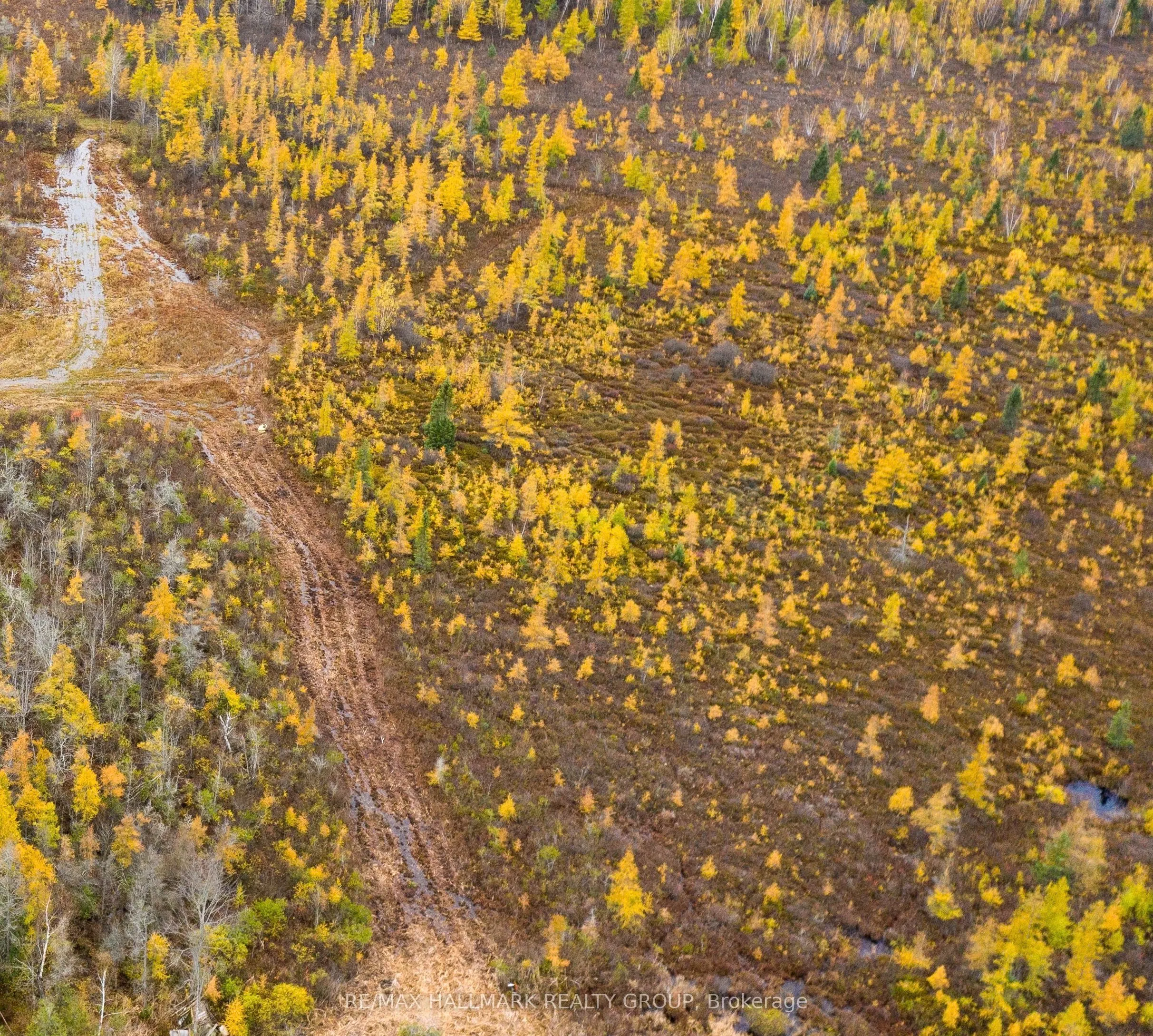 13208 County 15 Road