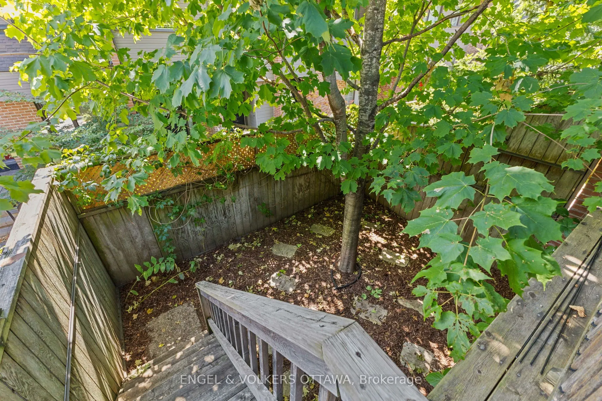 125 Springfield Road, #1