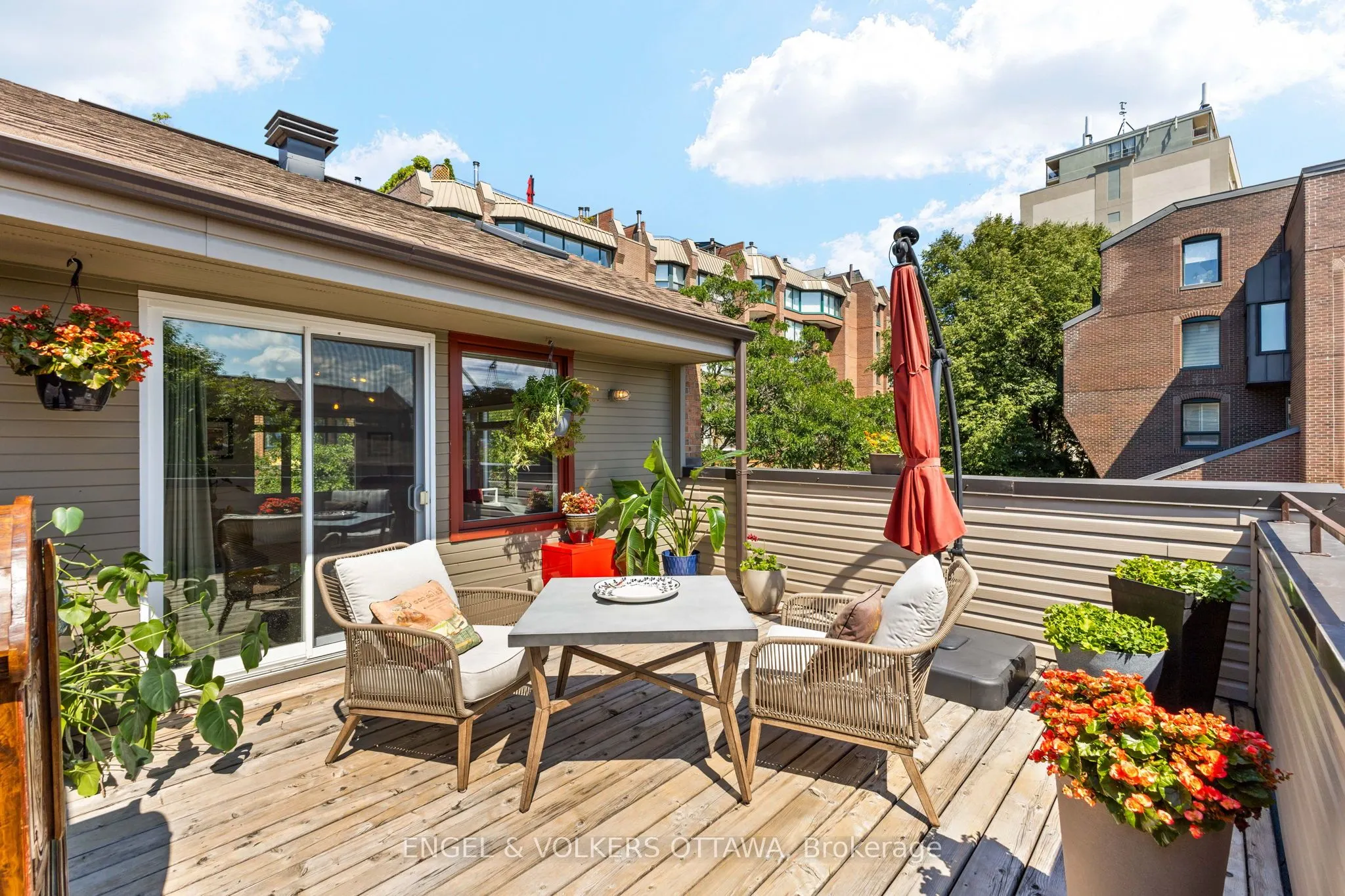 125 Springfield Road, #1
