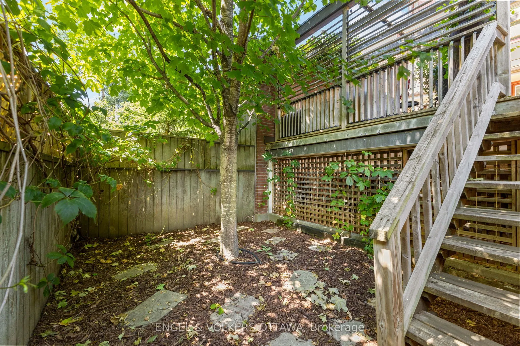 125 Springfield Road, #1