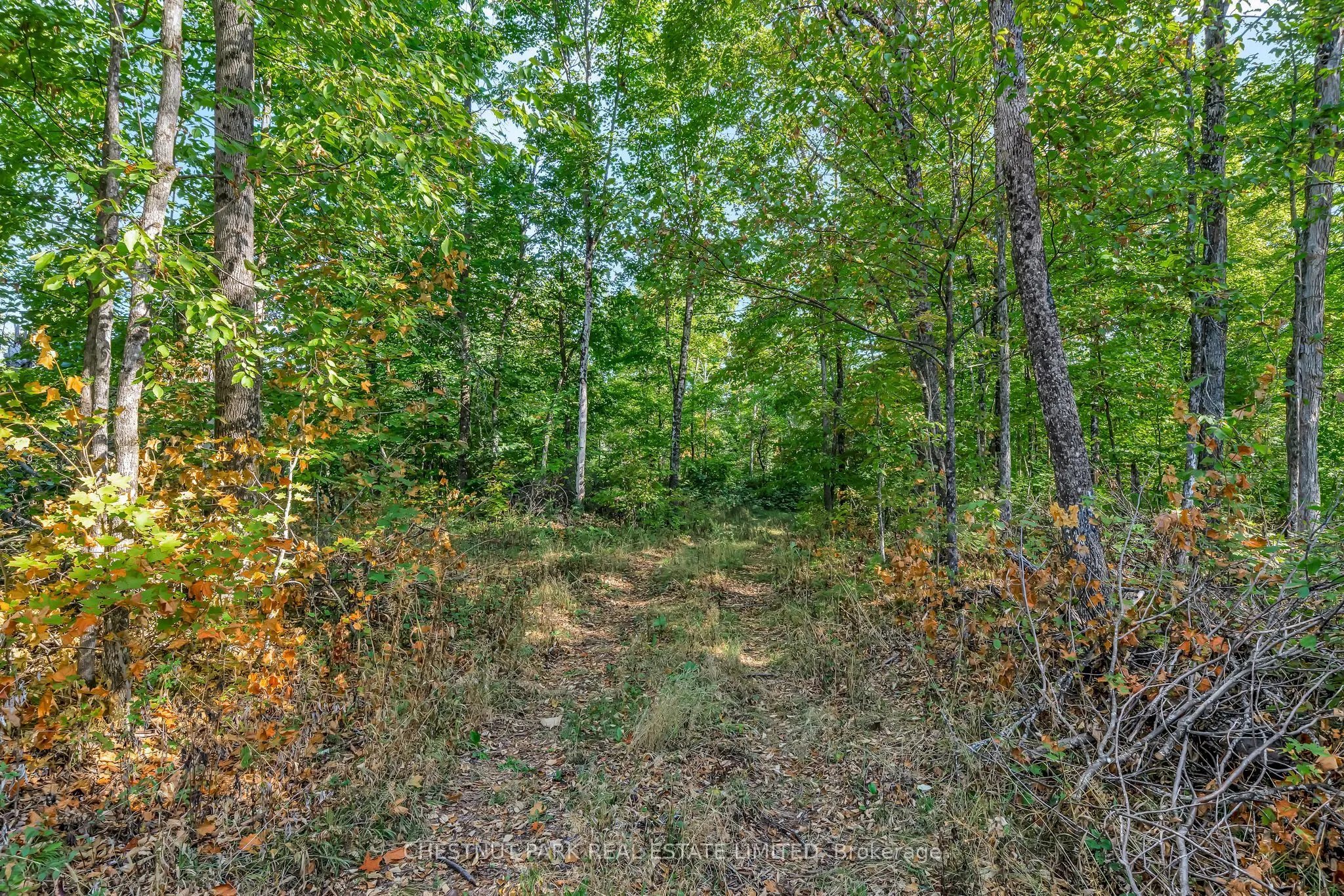 682 Felbers Road