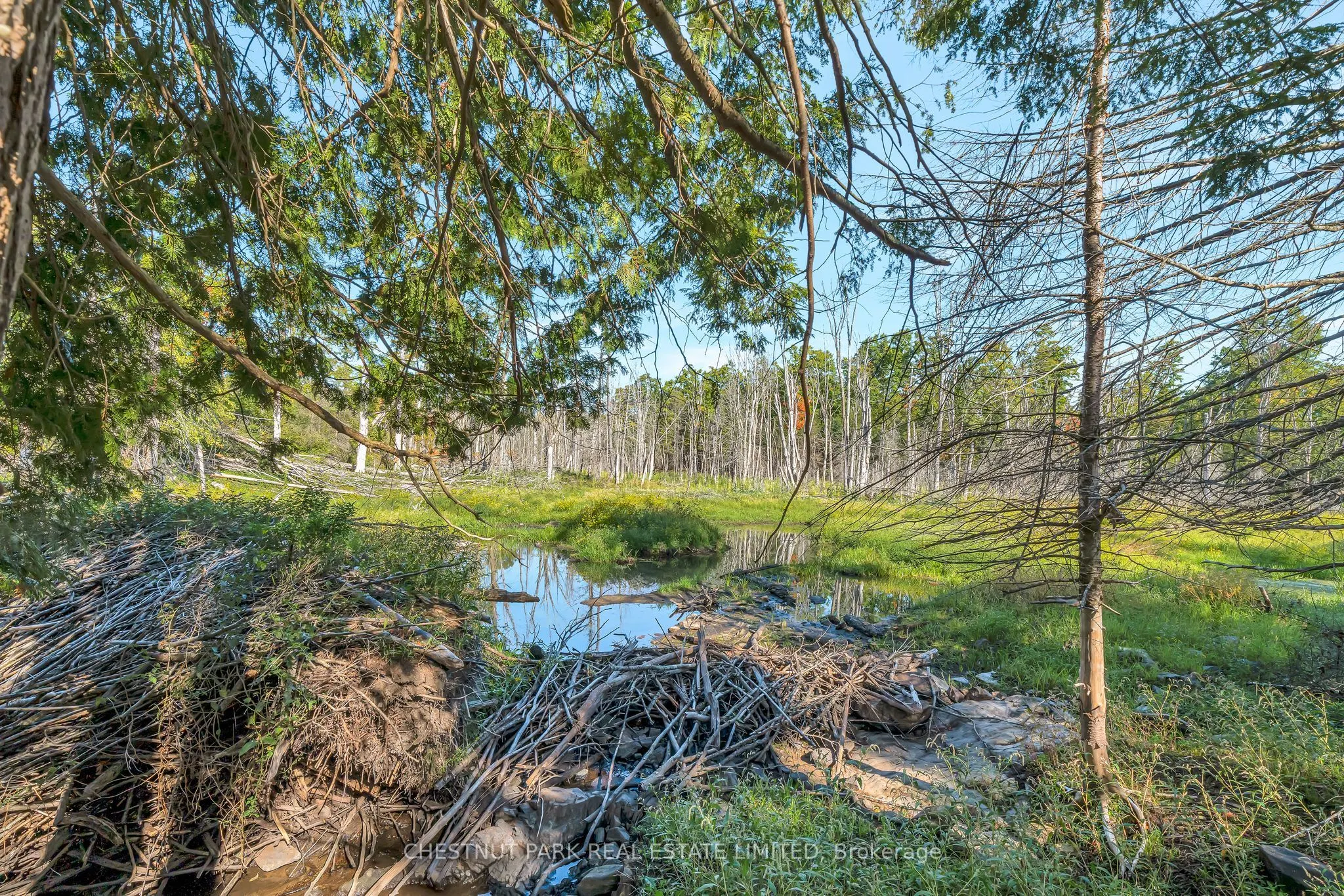682 Felbers Road