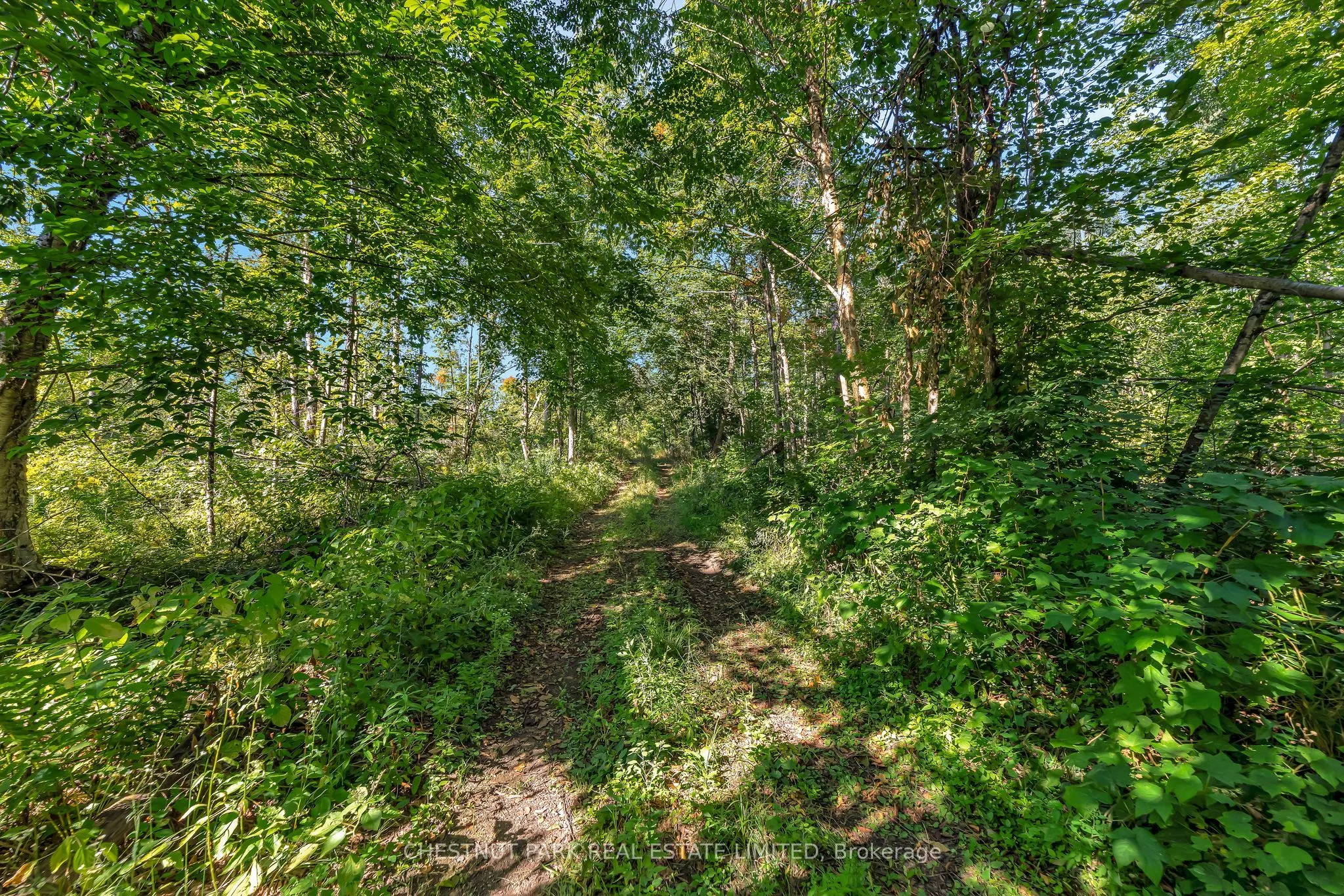 682 Felbers Road