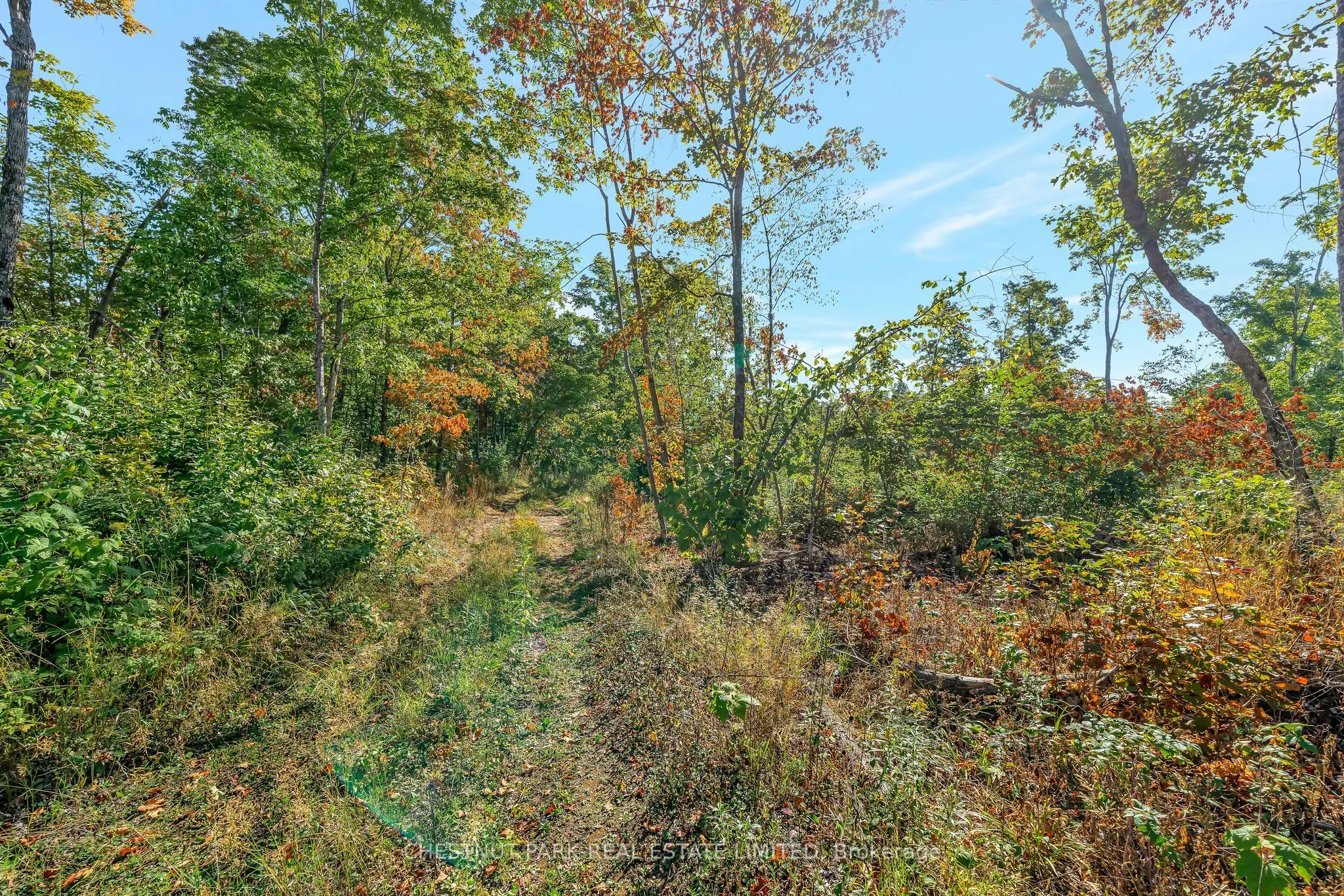 682 Felbers Road