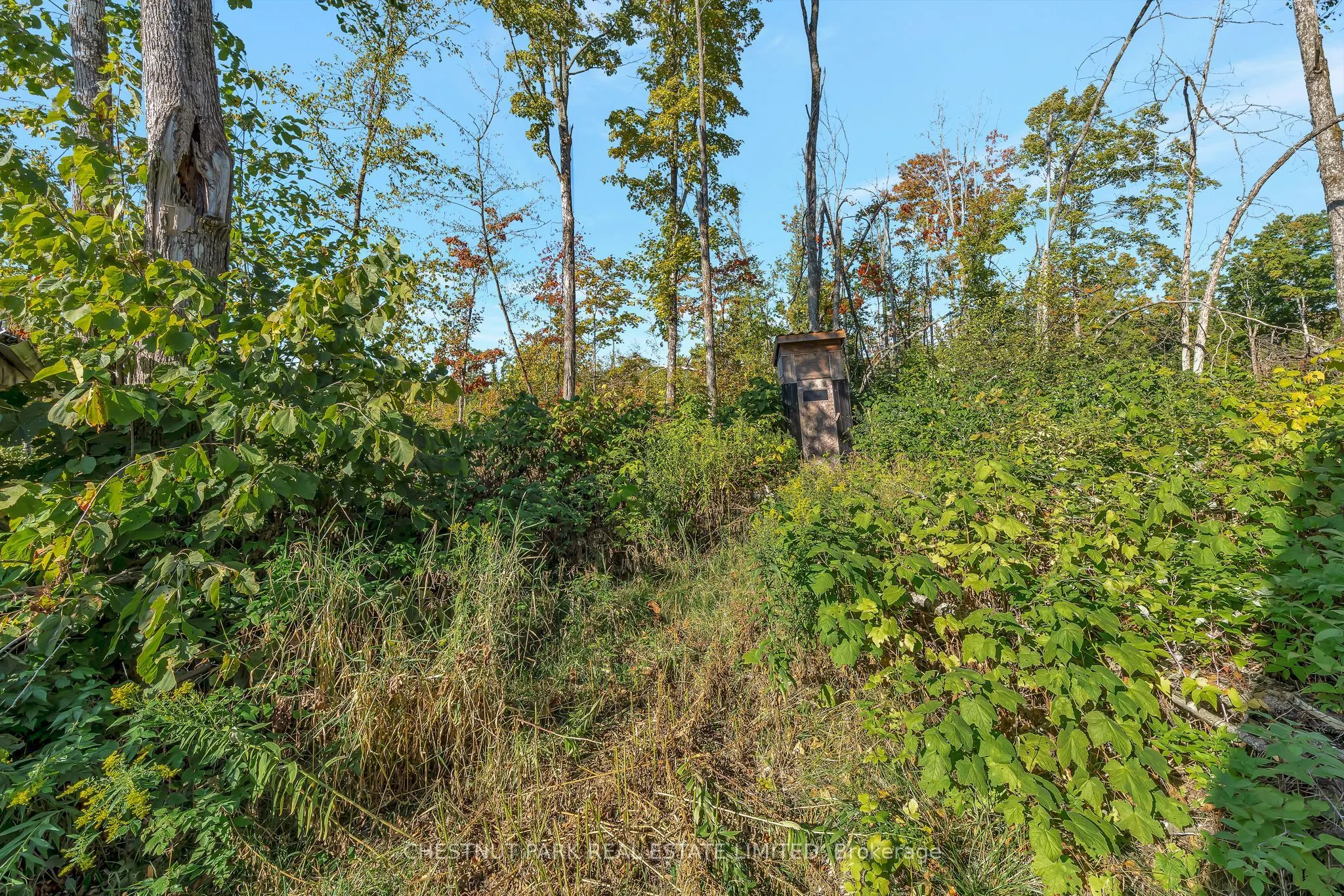 682 Felbers Road