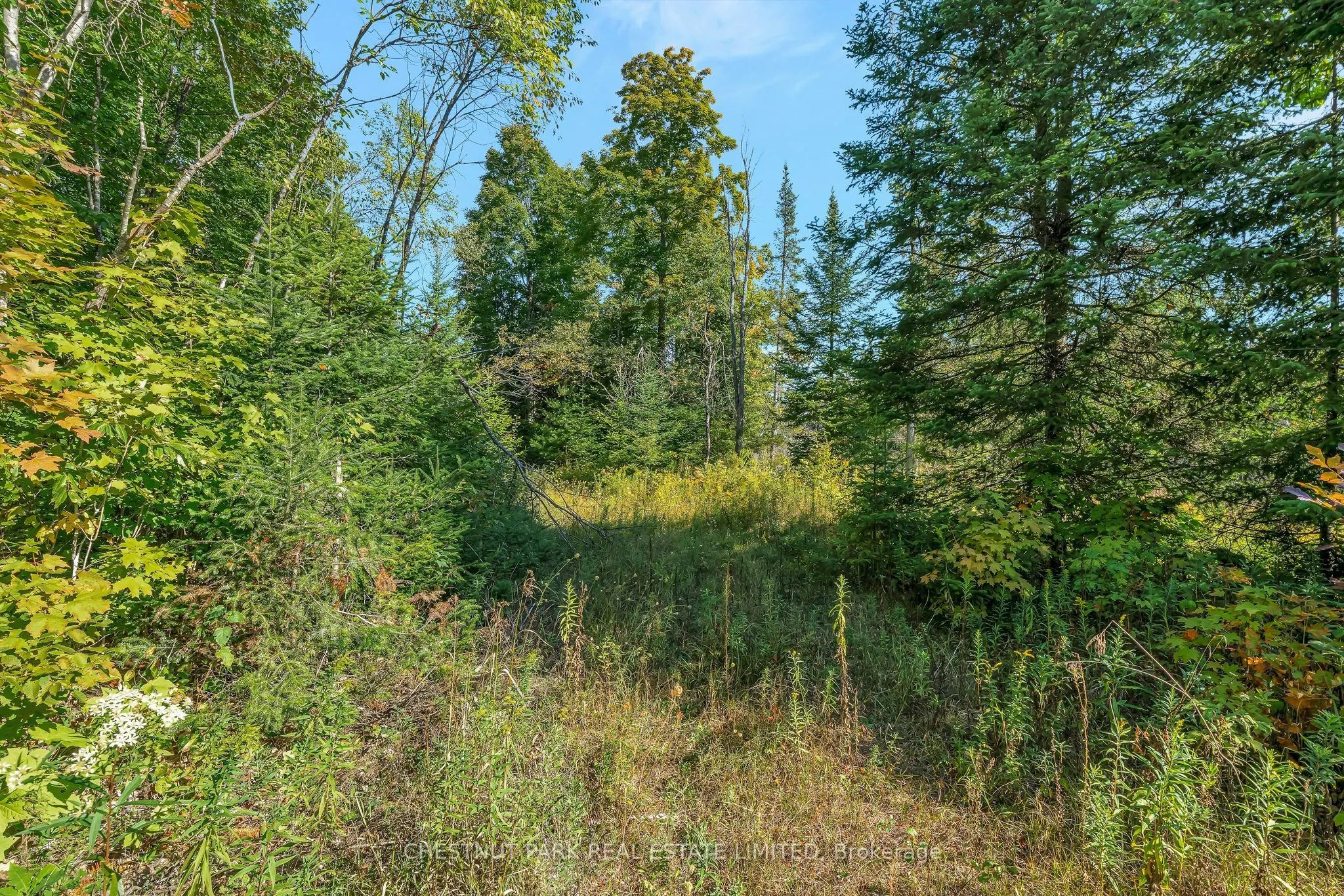 682 Felbers Road