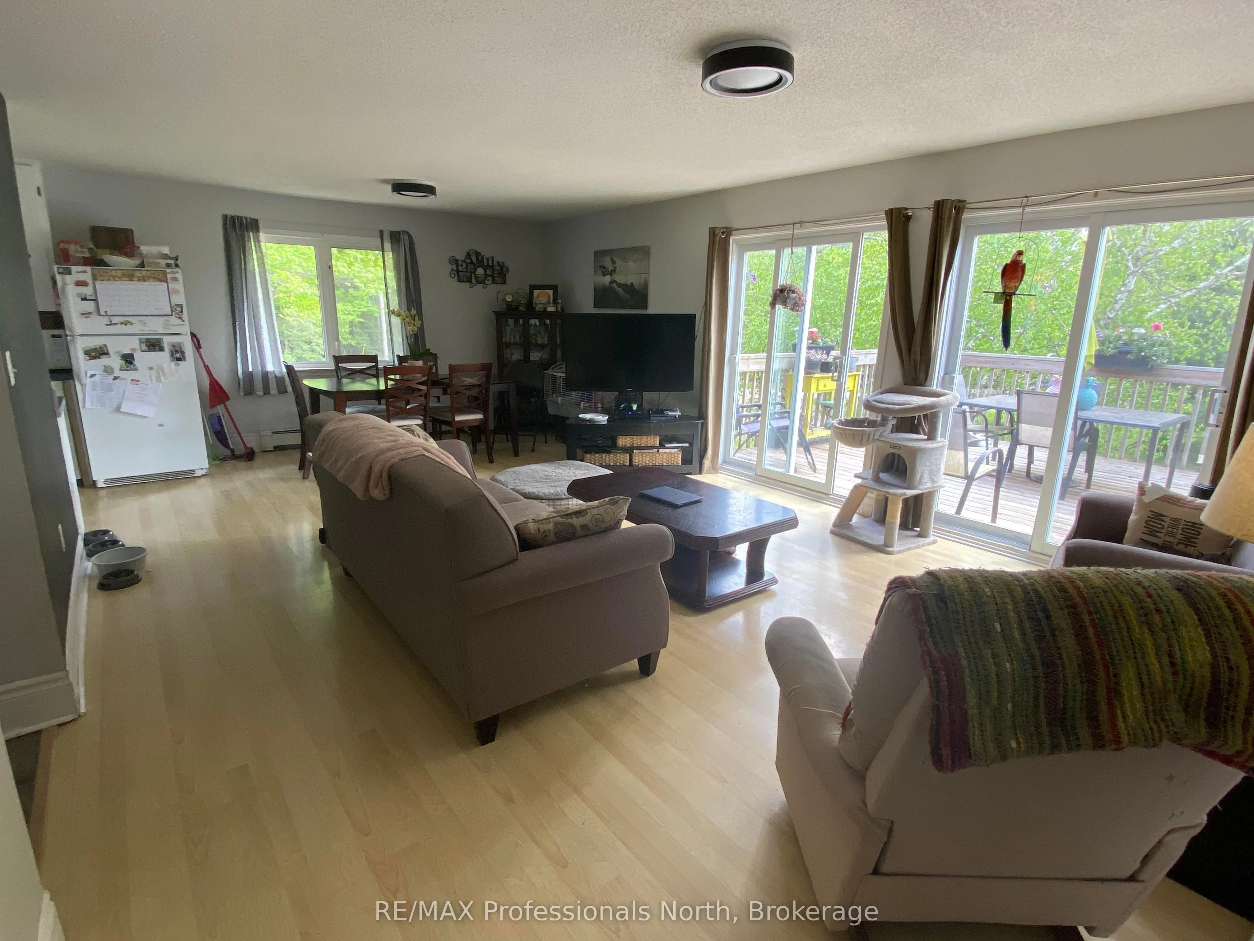 204 MINERAL SPRINGS Road