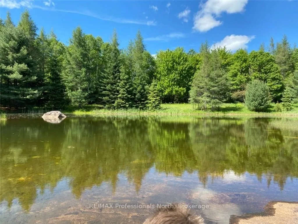 204 MINERAL SPRINGS Road